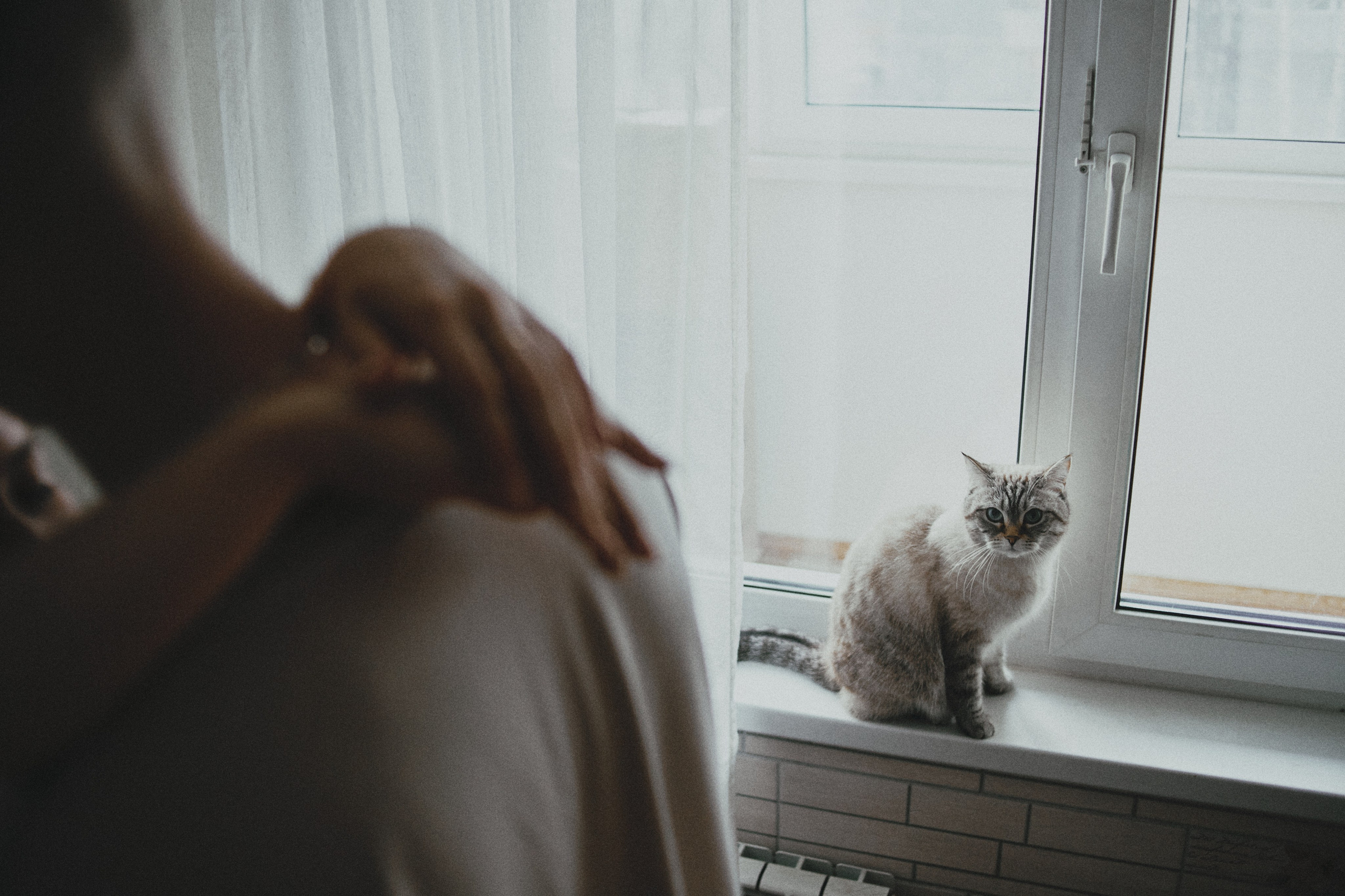 Марина и Слава. Домашняя съёмка. Семейный фотограф Бредик Екатерина