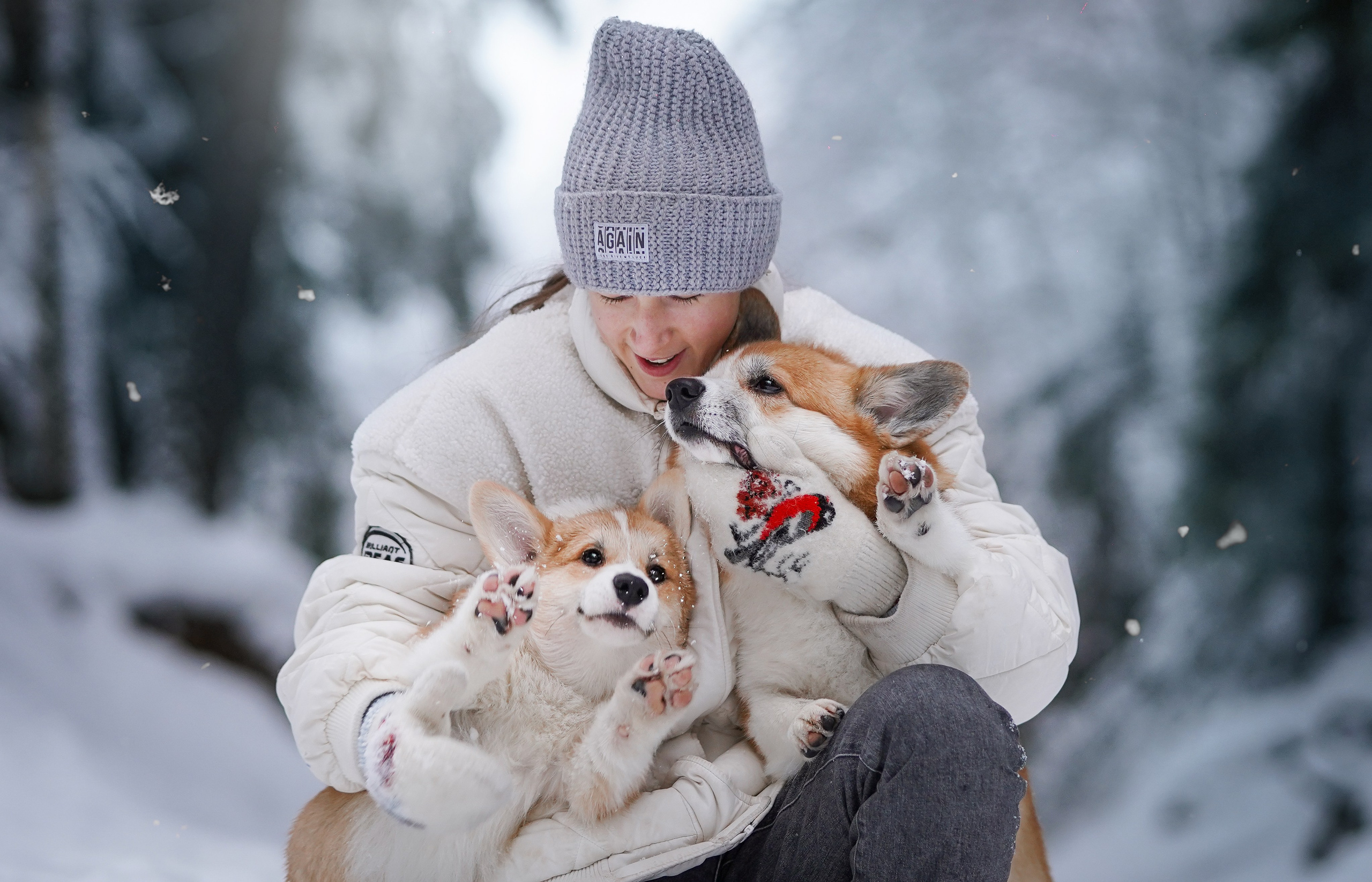 Катя Рокки и Честер. Фотограф-анималист в Санкт-Петербурге Яна Мартынова