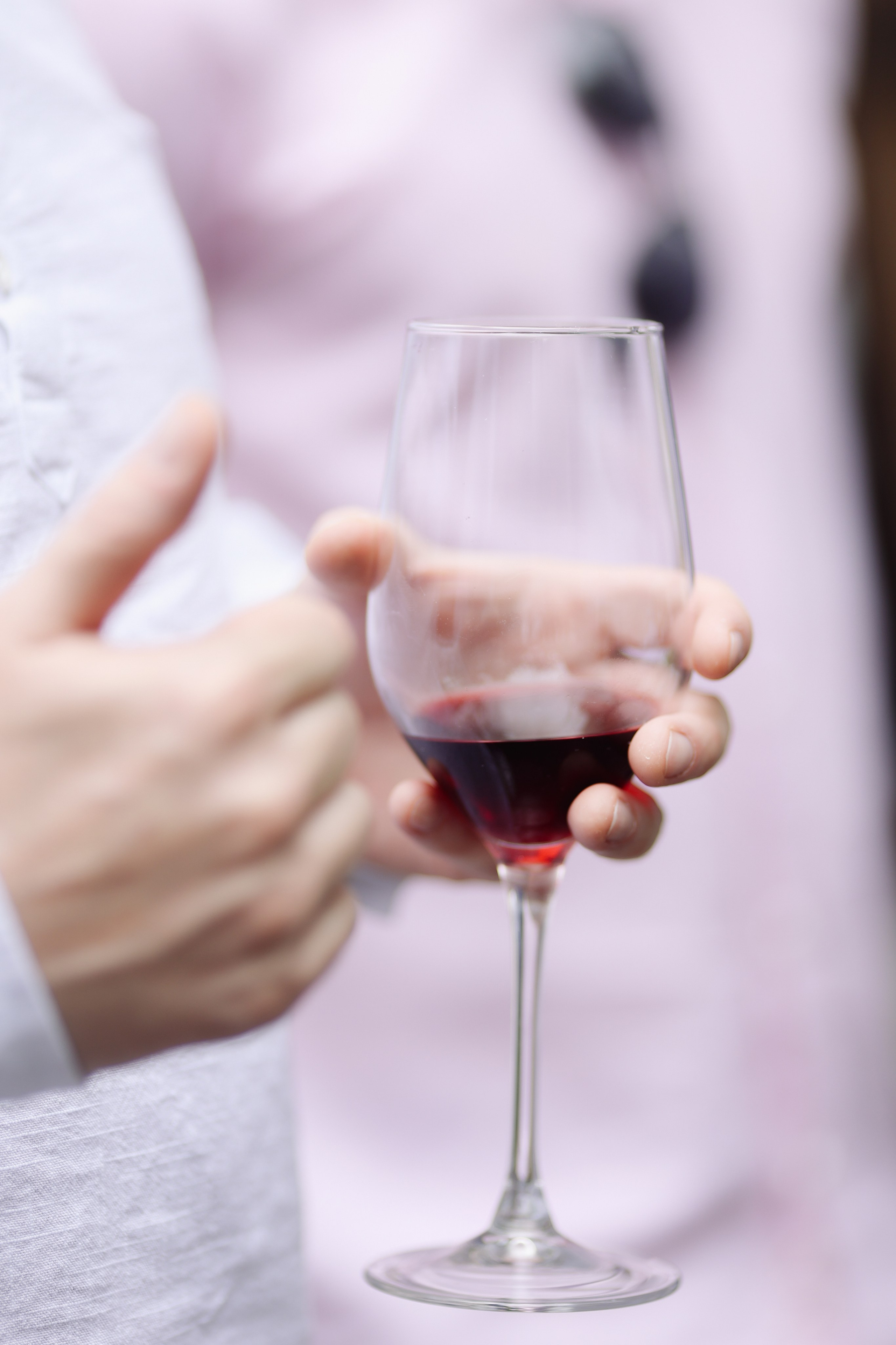 Lesnoi-bereg. Главная