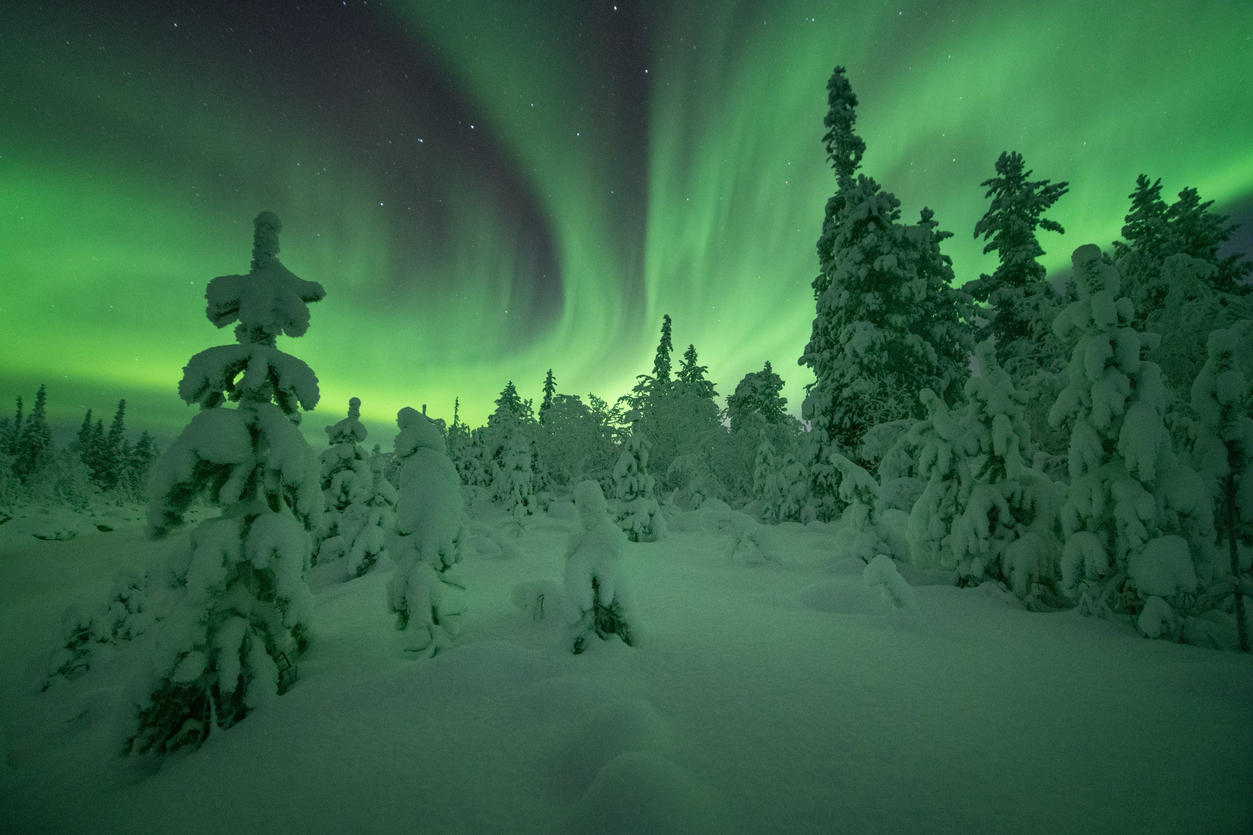 Пейзажный фотограф Ермолина Елена