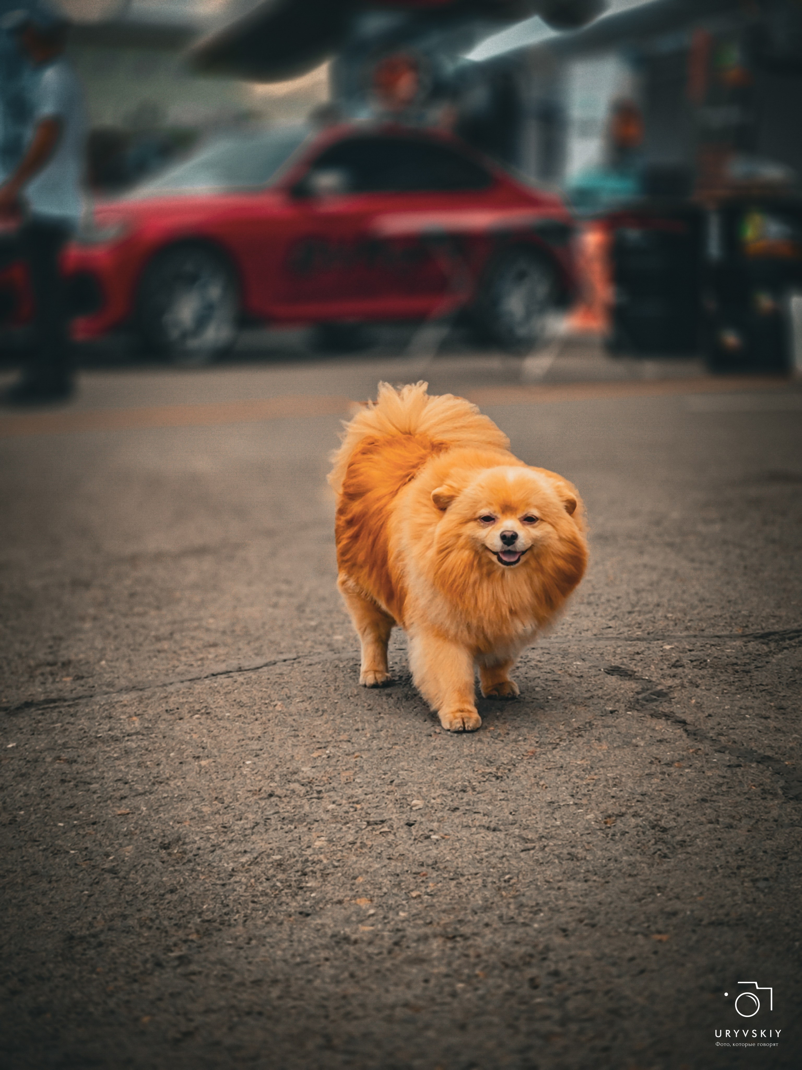 ISKRA 2025 Красноярск. Игорь Урывский. Фотограф Красноярск