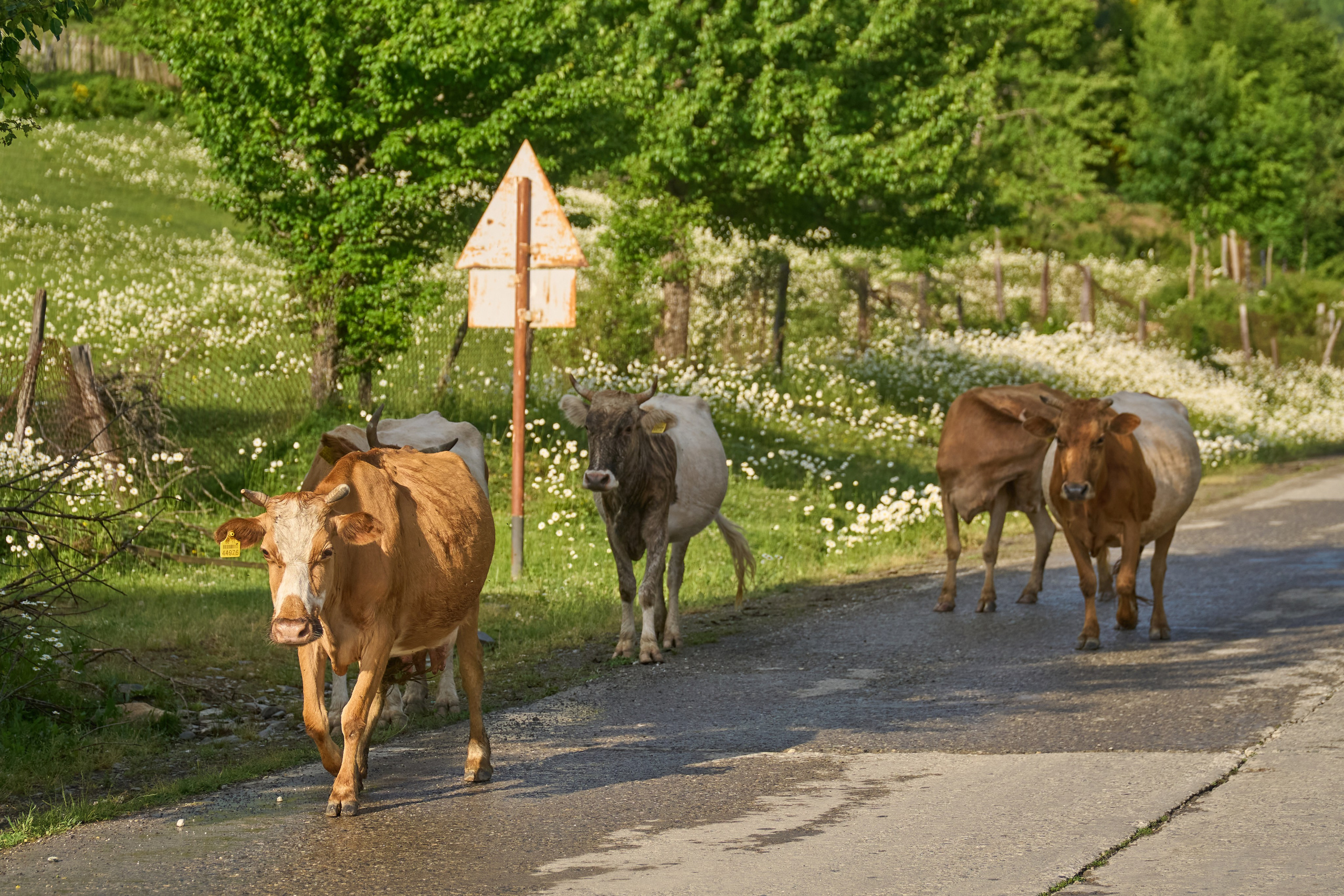 Путешествие по Грузии — фотосессия и репортаж | Филипп Линзин. Репортажный и портретный фотограф в Санкт-Петербурге Филипп Линзин