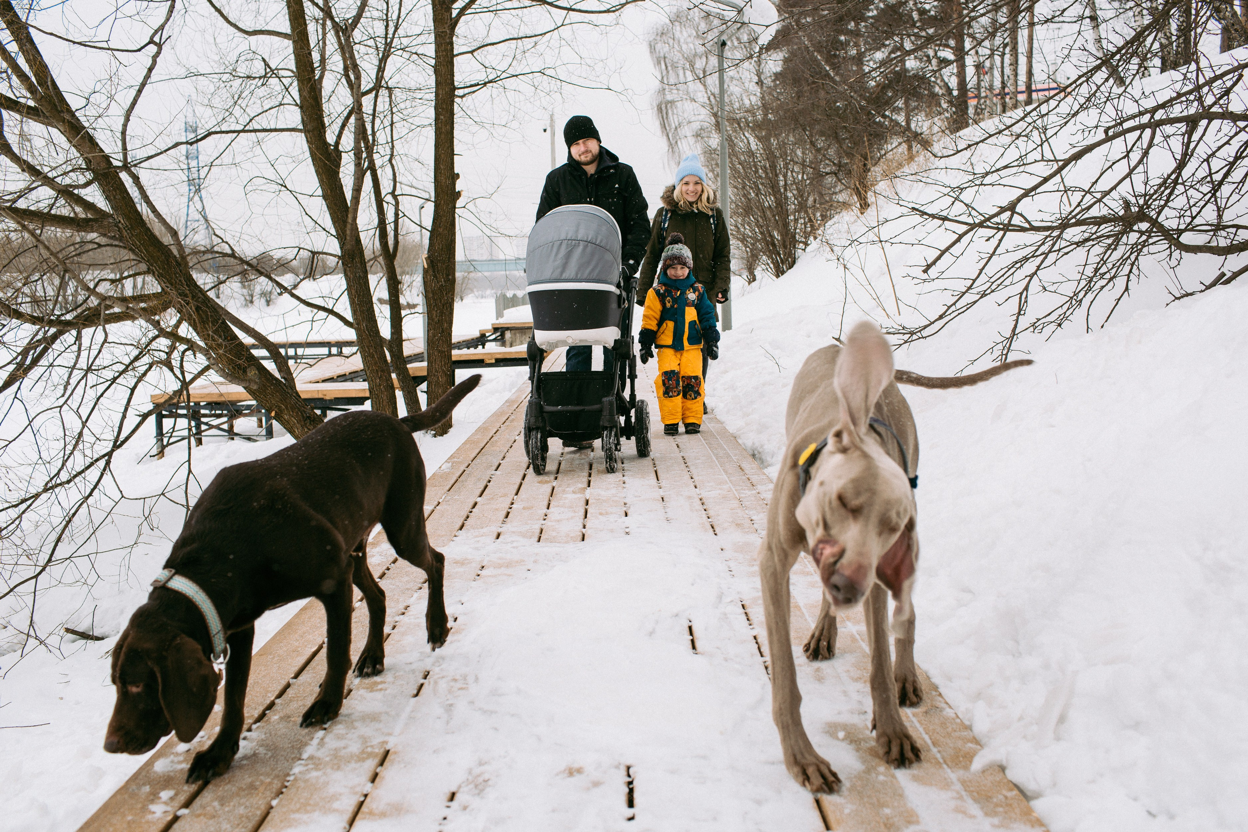 Family. Anastasia Marchenko Photography