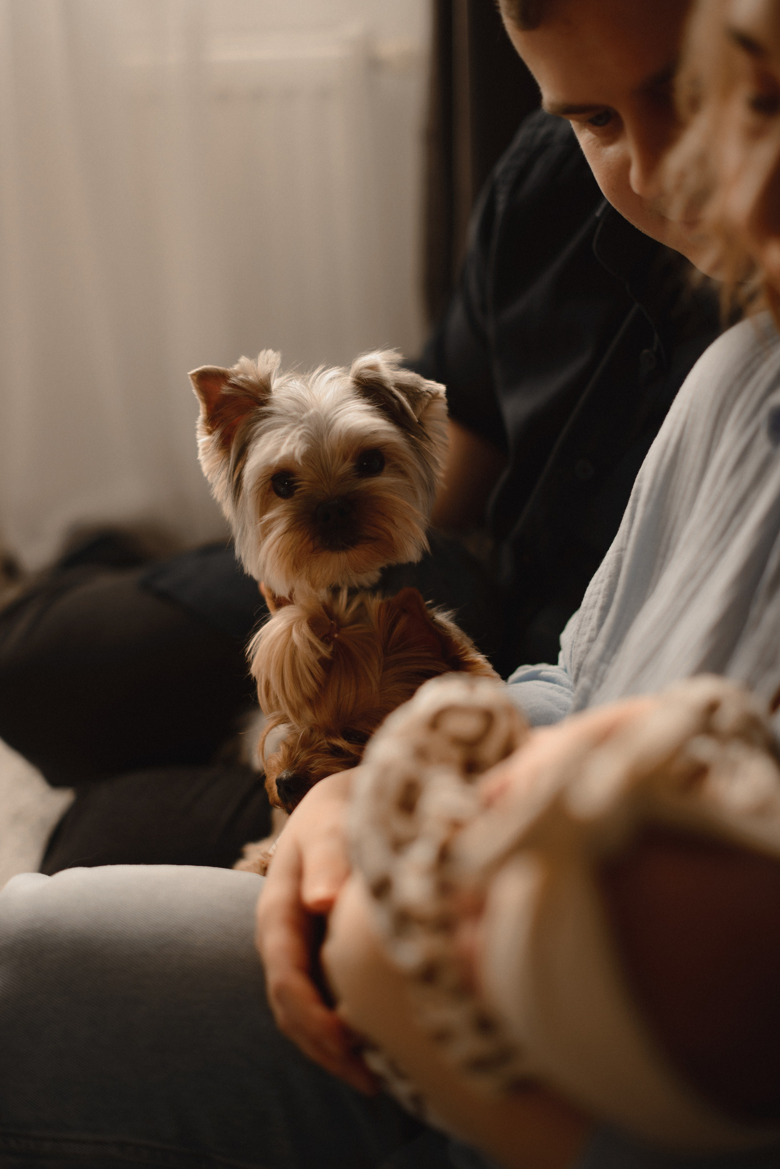 Первый месяц малышки Василисы. Семейный фотограф в г. Ставрополь, Сорокина Мария