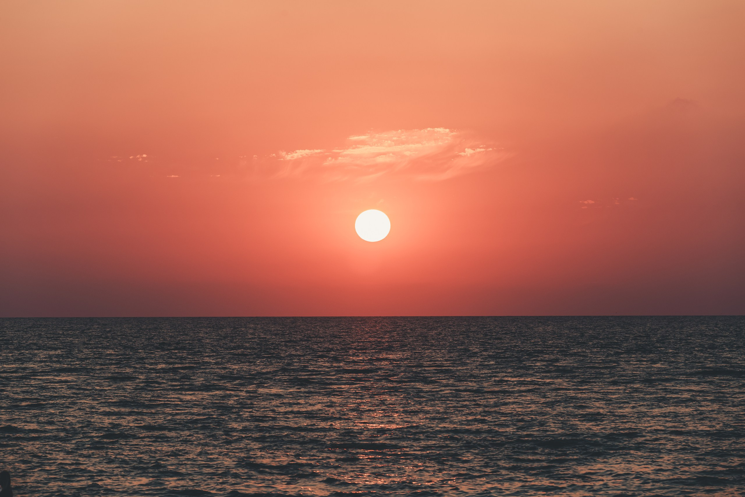 Репортажный Фотограф в Сочи и Москве Алексей Орлов