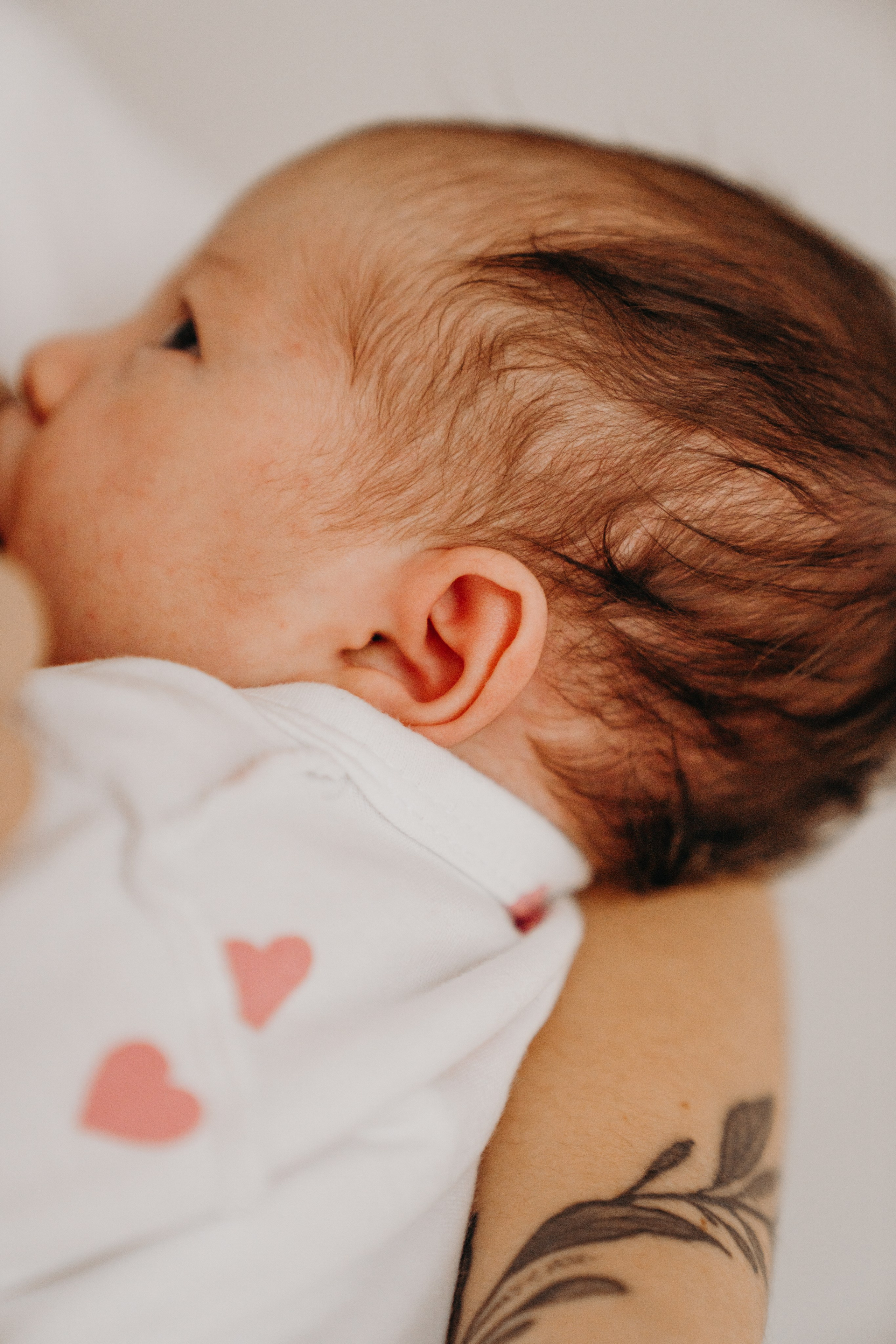 Дом там, где семья. Фотограф Алена Нормальная в Санкт-Петербурге