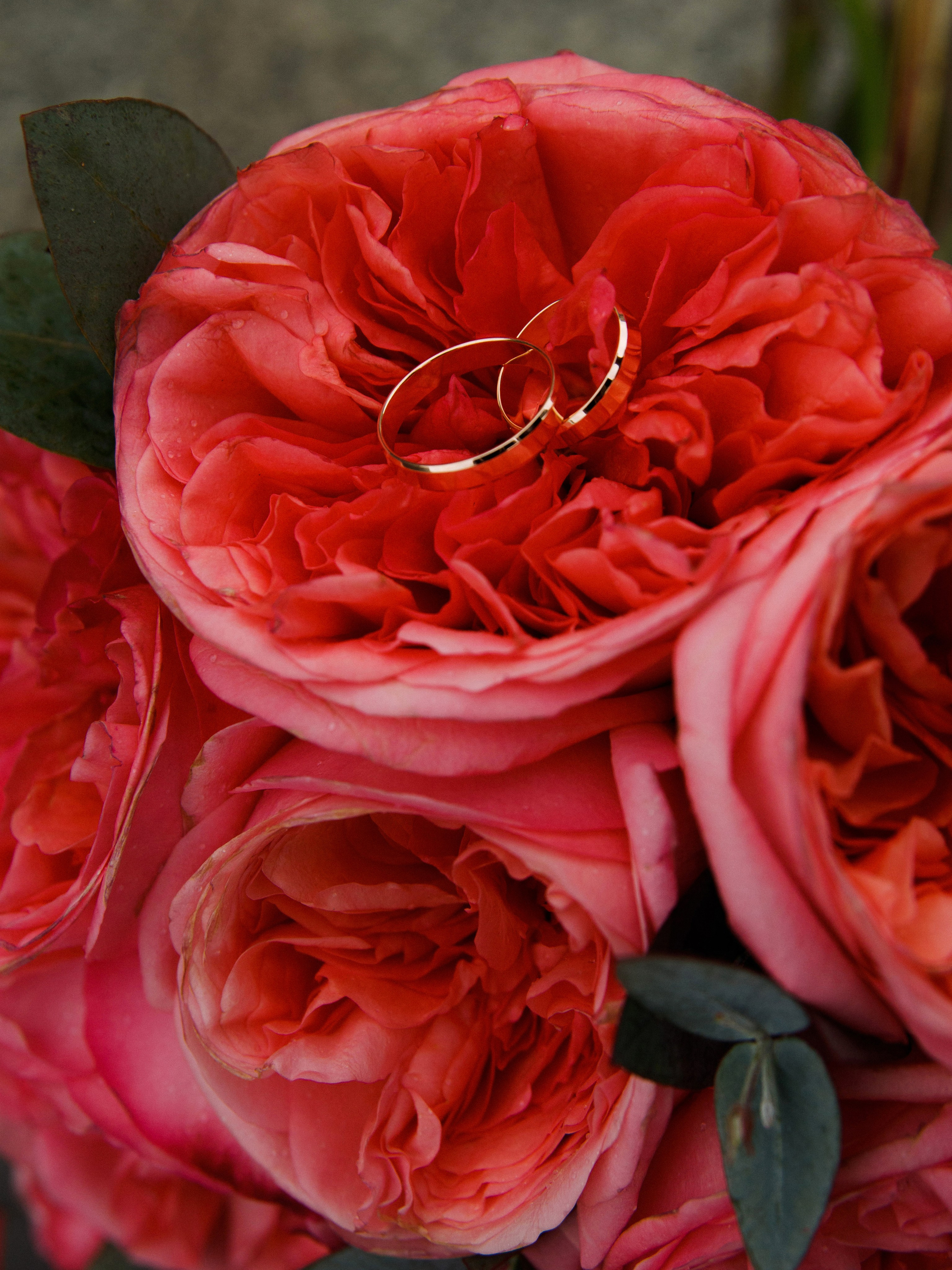 Алина и Данил. Фотограф Анапа, Новороссийск, Краснодар