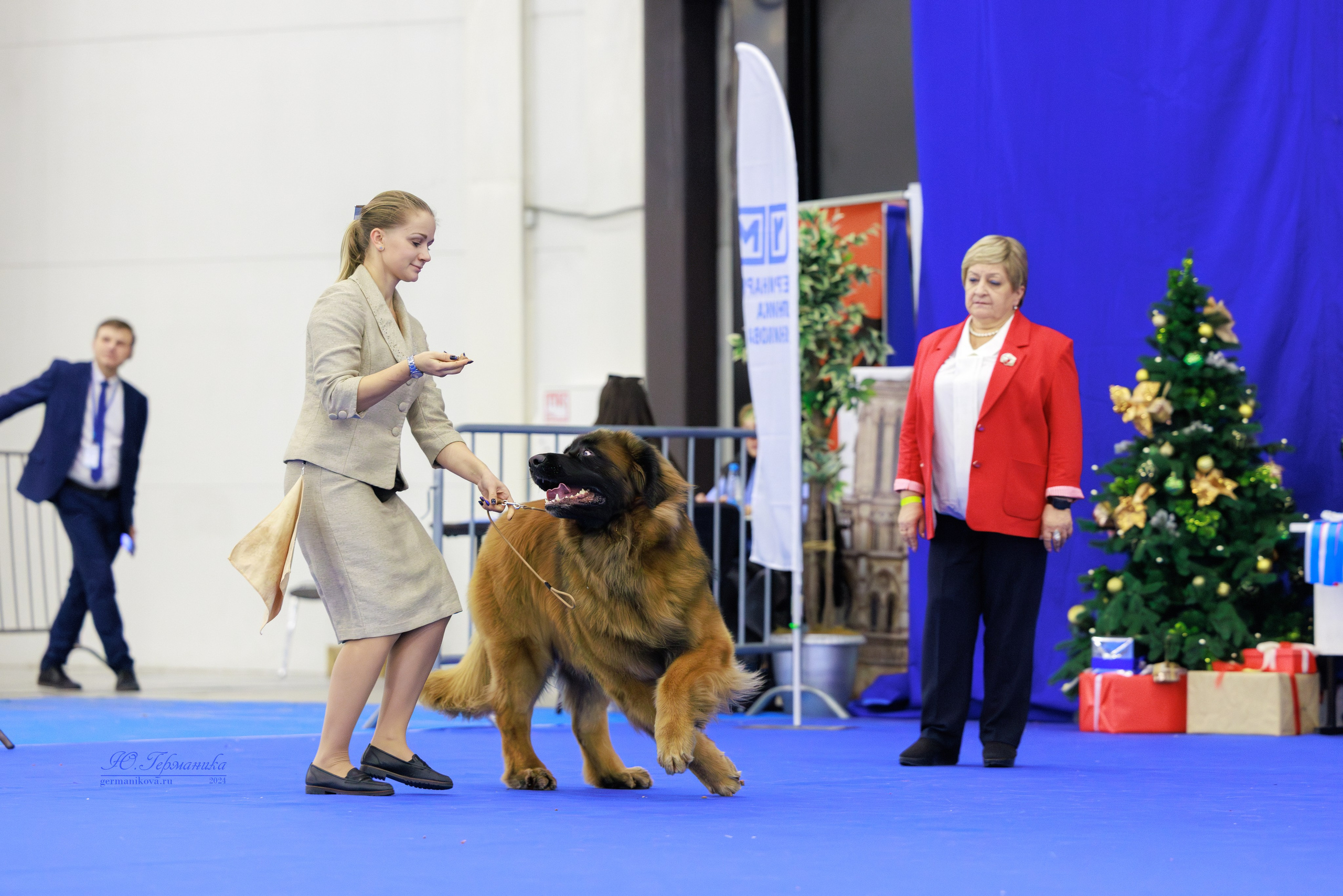Санкт-Петербург 14.12.2024 ОС. Фотограф-анималист Юлия Германика