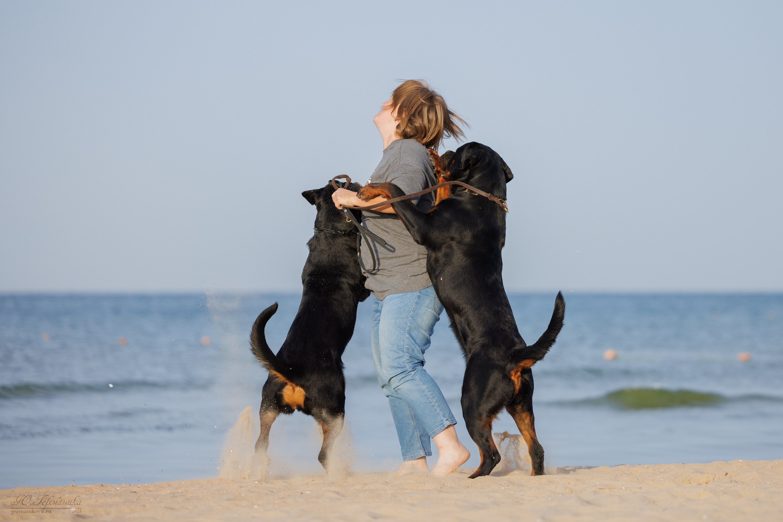 Свободная съемка. Фотограф-анималист Юлия Германика