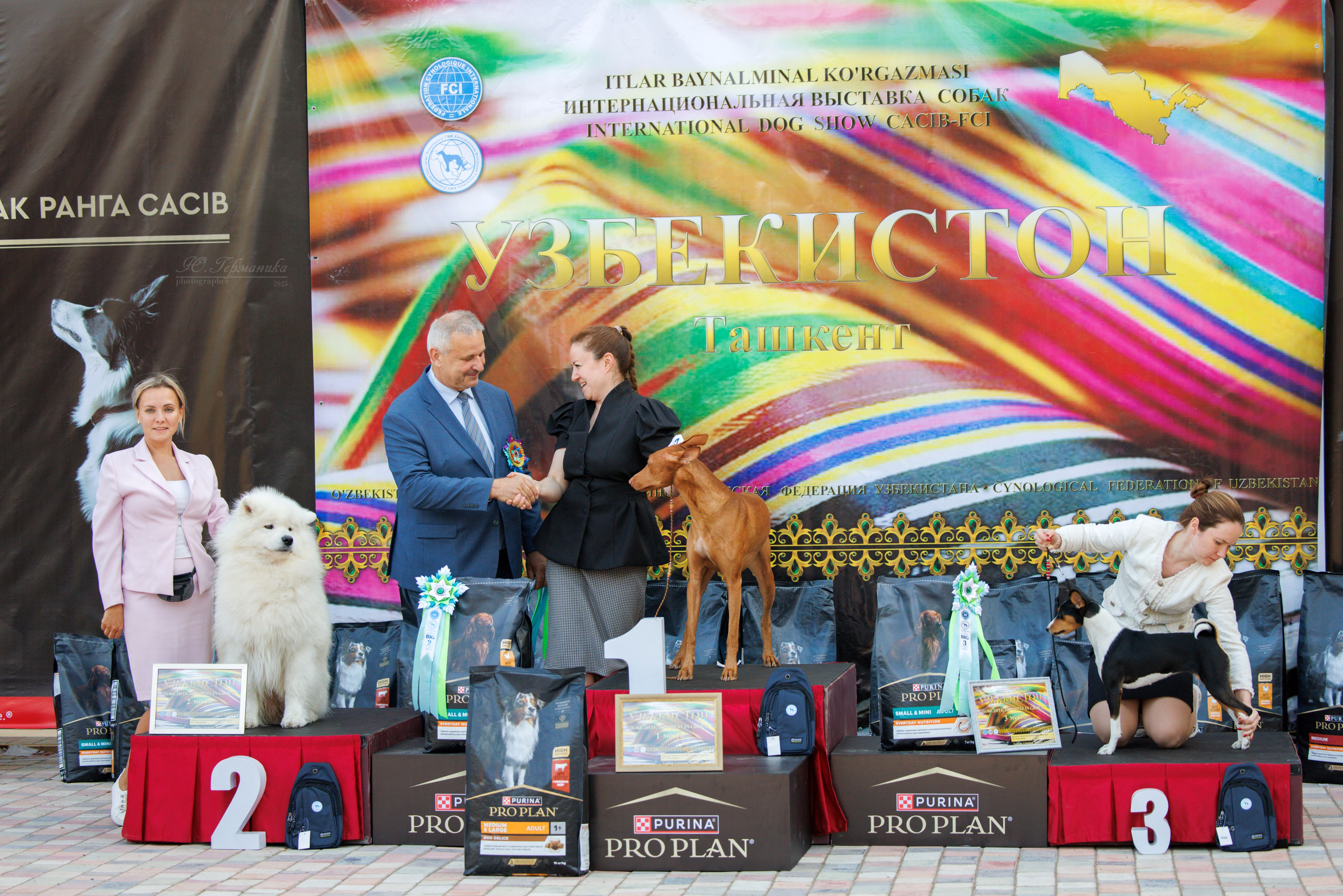 Ташкент 3хCACIB 3-5.10.2025. Фотограф-анималист Юлия Германика