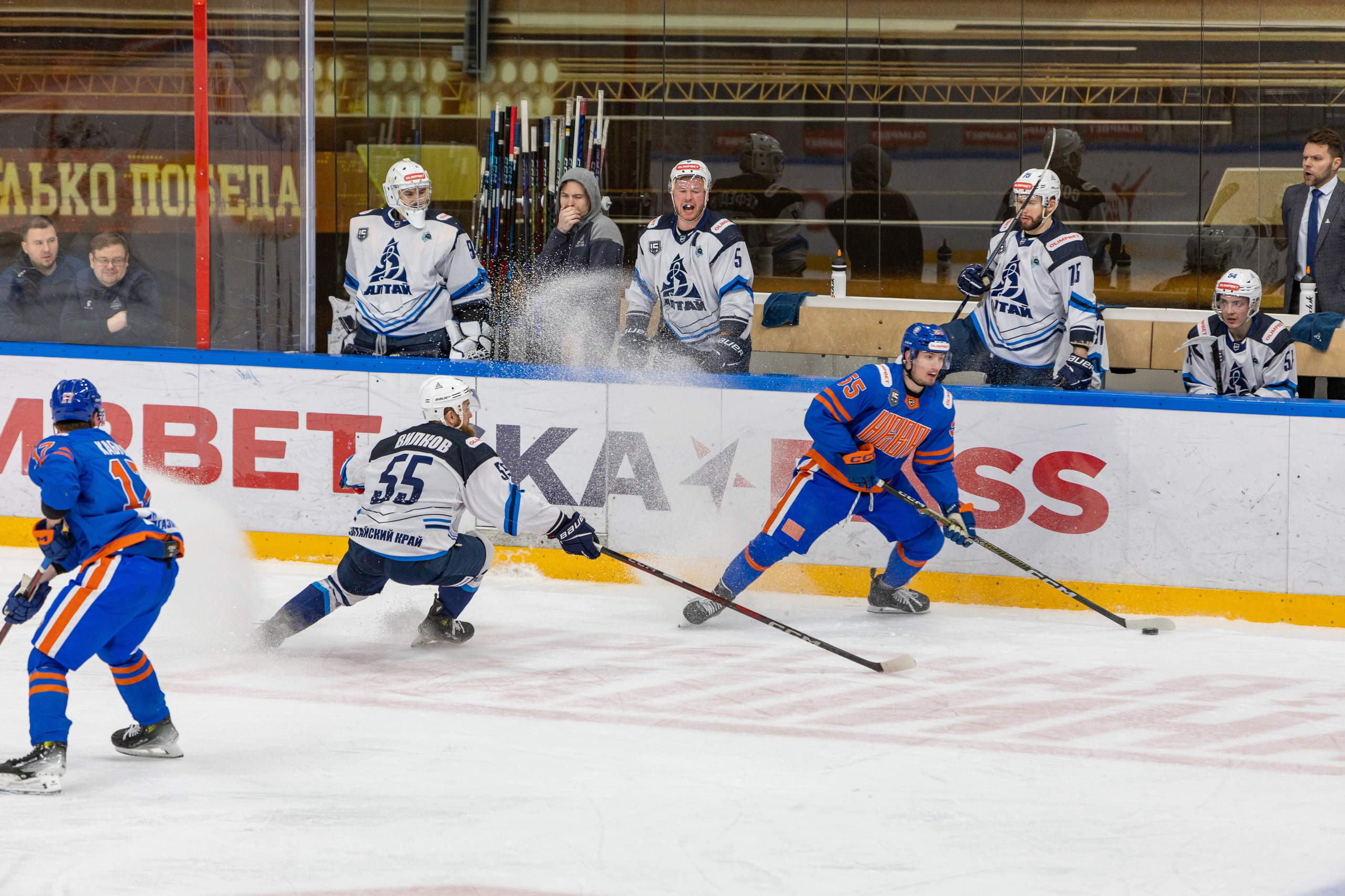 Хоккей СКА-Нева — Динамо-Алтай. Репортажный фотограф Санкт-Петербург | Роман Карбышев
