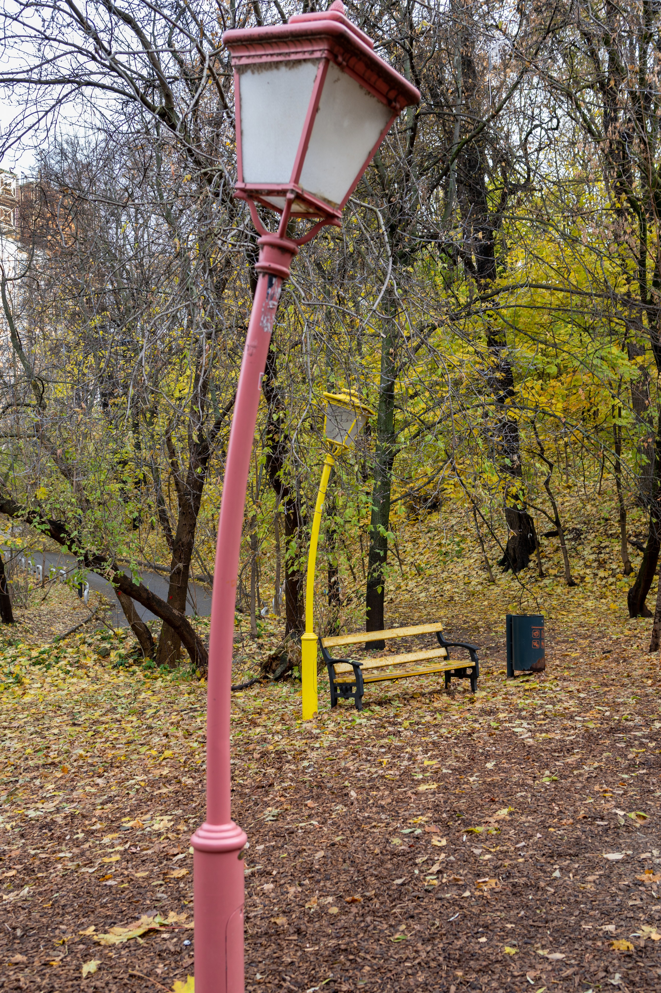 20231031 Нескучный сад. Дмитрий Ремизов. Фотография, как хобби