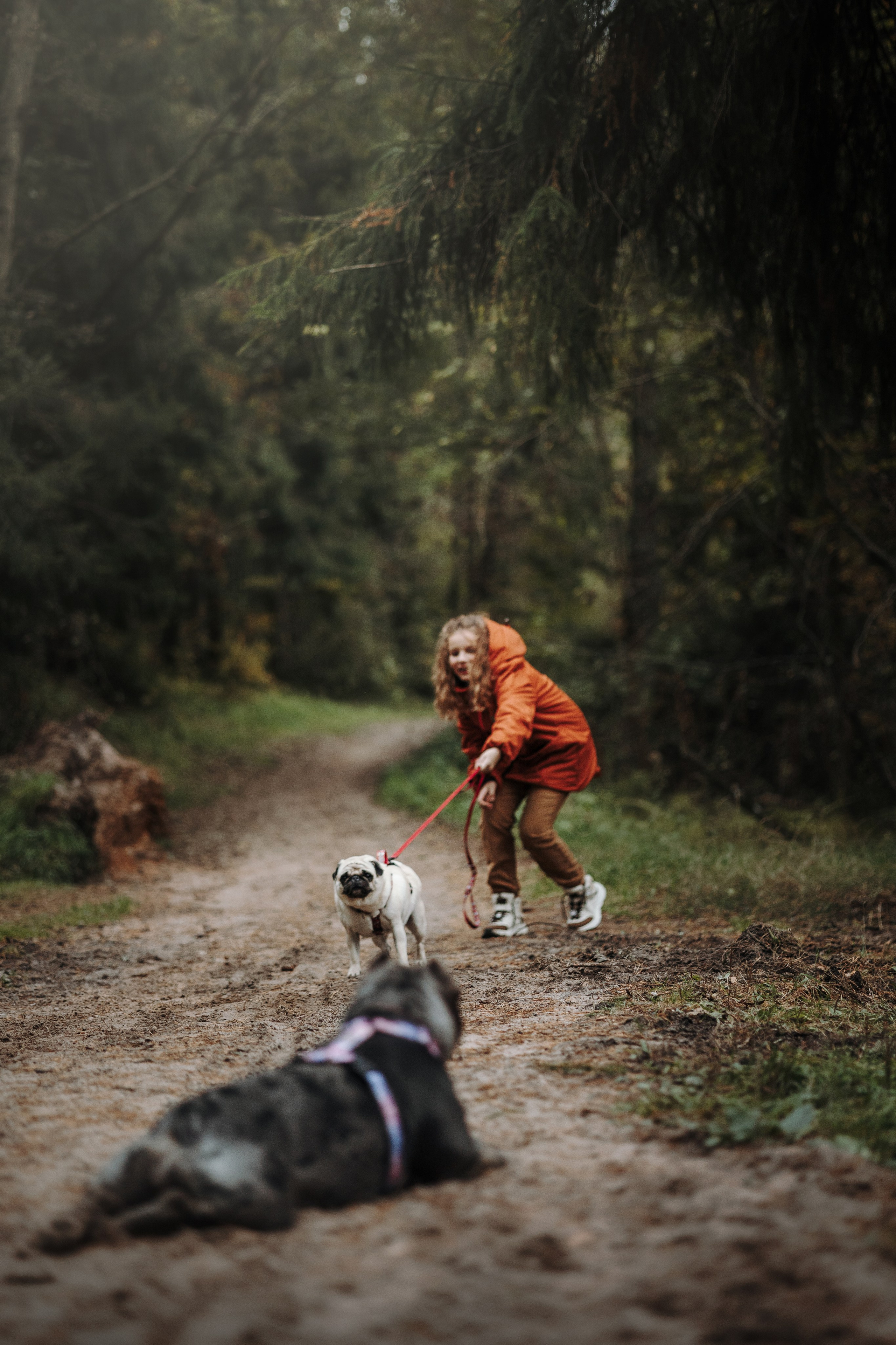 Девочки и их семья. Фотограф — Анималист | Санкт-Петербург