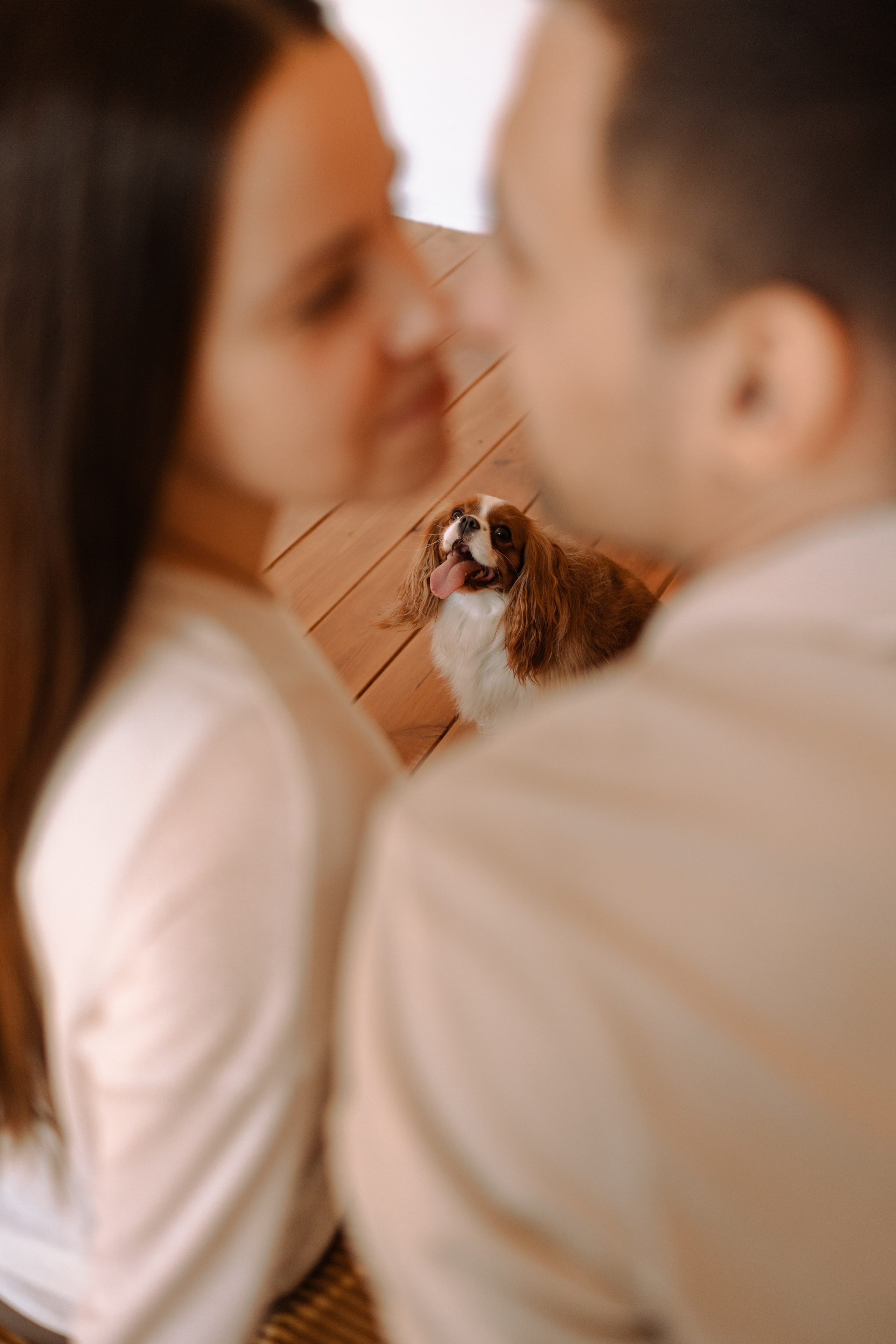 Шерри и ее семья. Фотограф — Анималист | Санкт-Петербург