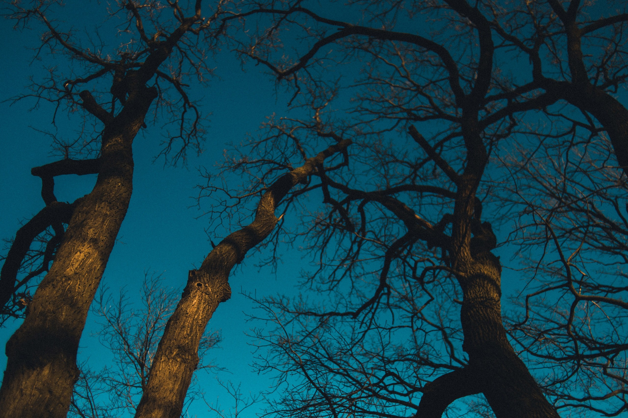 Улица горизонтальная. Jorgis — фотограф в Хургаде / обучение фотографии