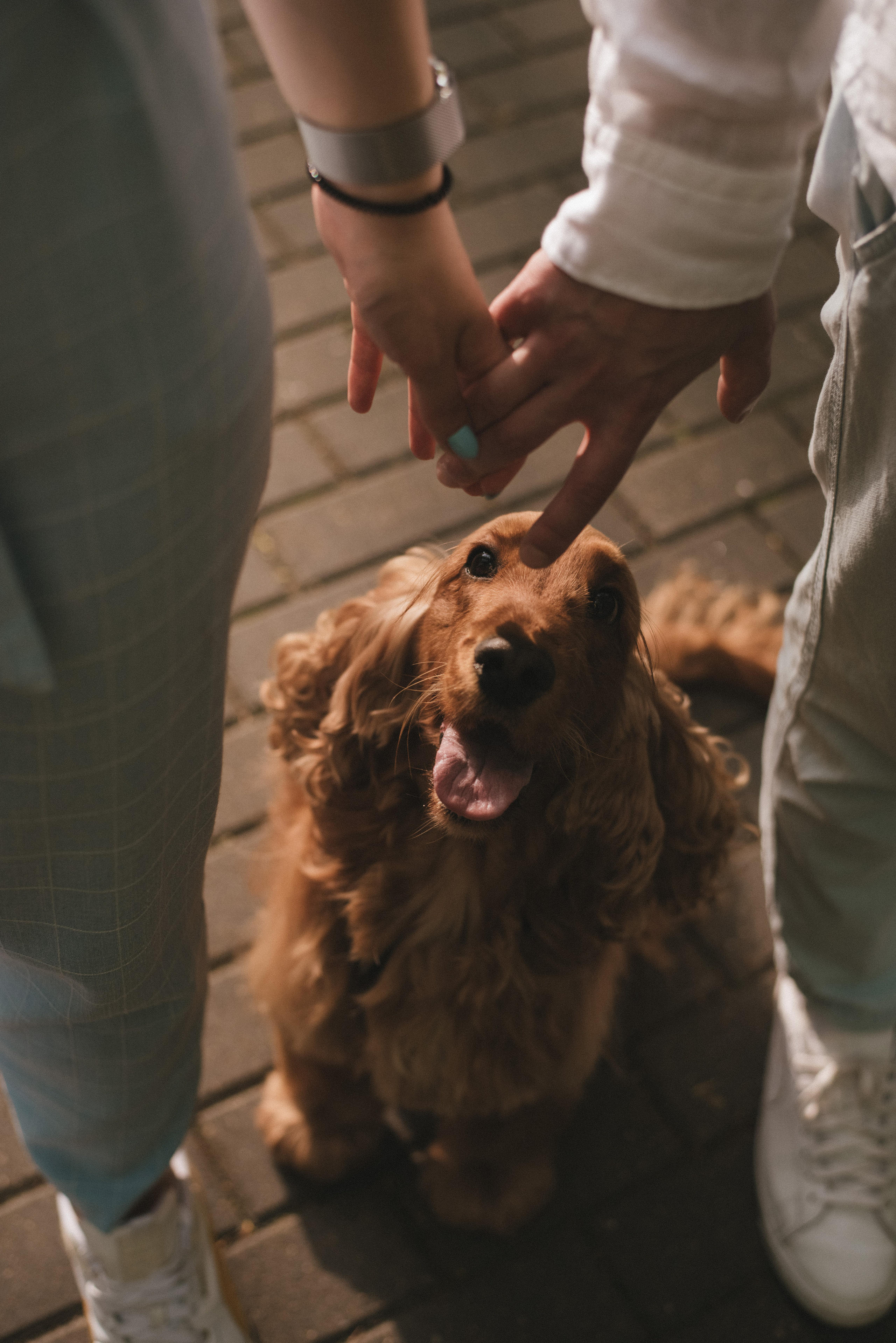 ФОТО ПРОГУЛКА. Семейный и женский фотограф в Москве Доминова Елена