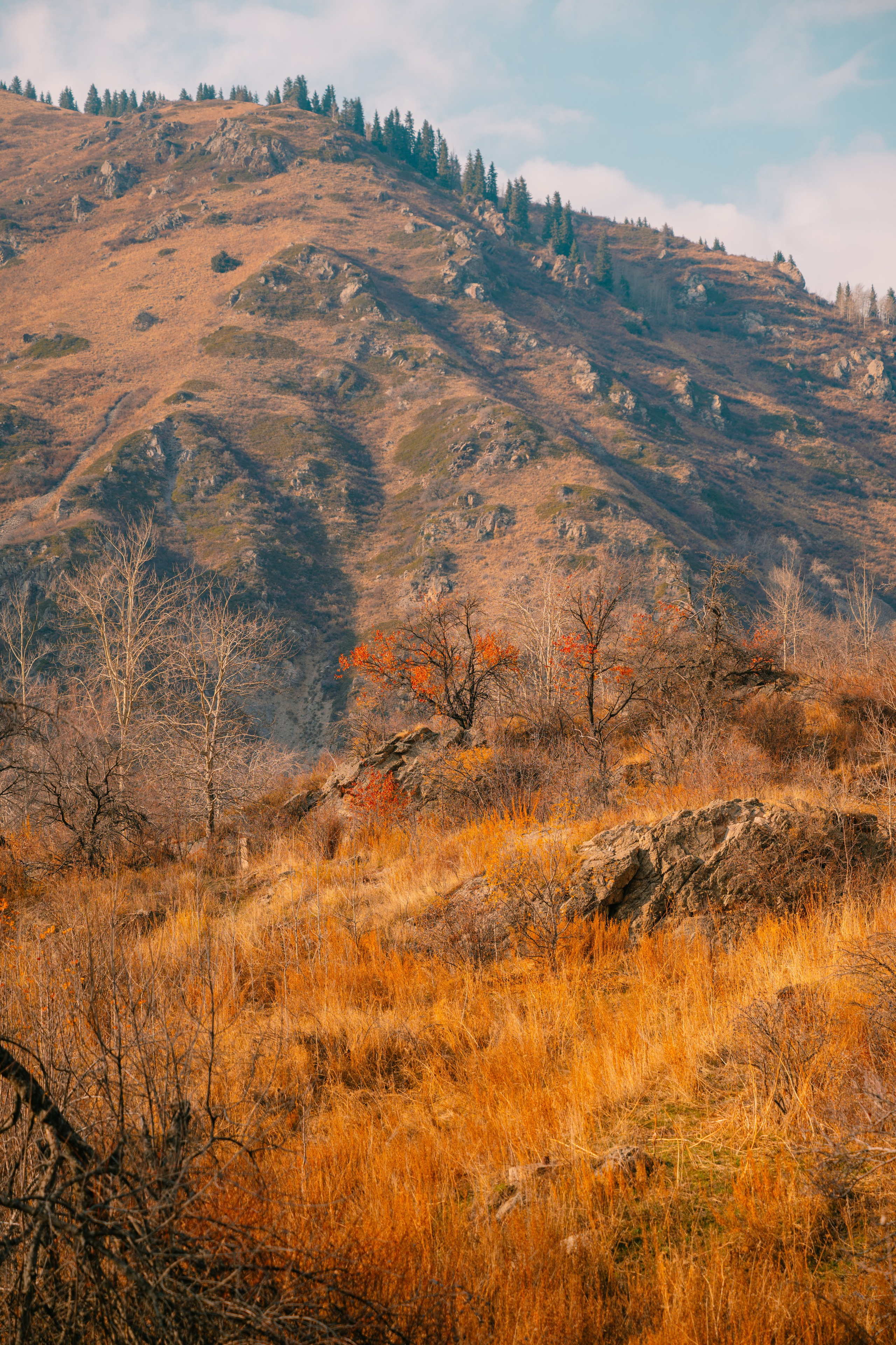 Озеро Иссык, осень 2025. Фотограф в Алматы — Алексей Коньков | Репортаж, свадьбы, портреты