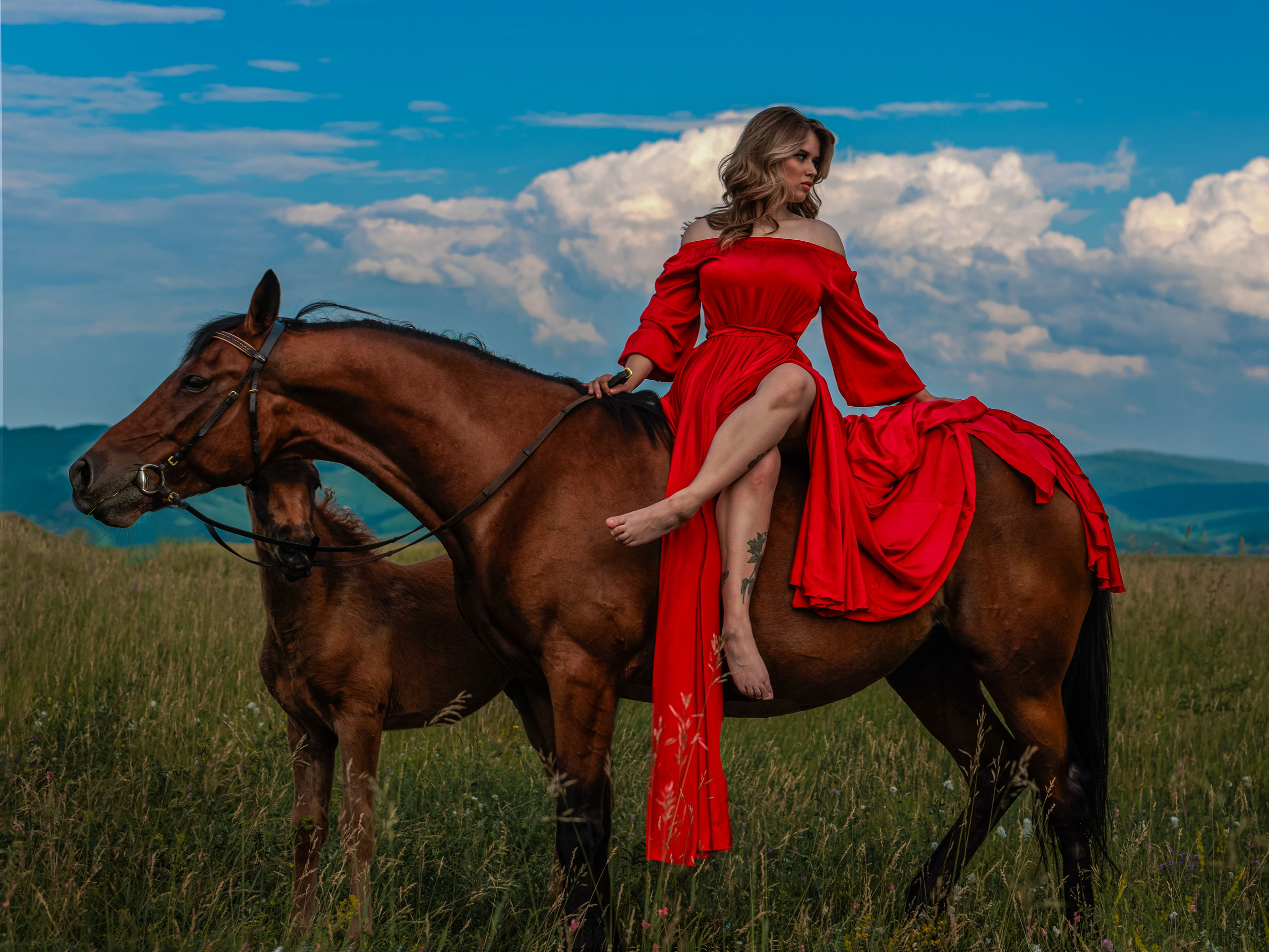 Донские конюшни. Конный фотограф в Красноярске — Любовь Похабова