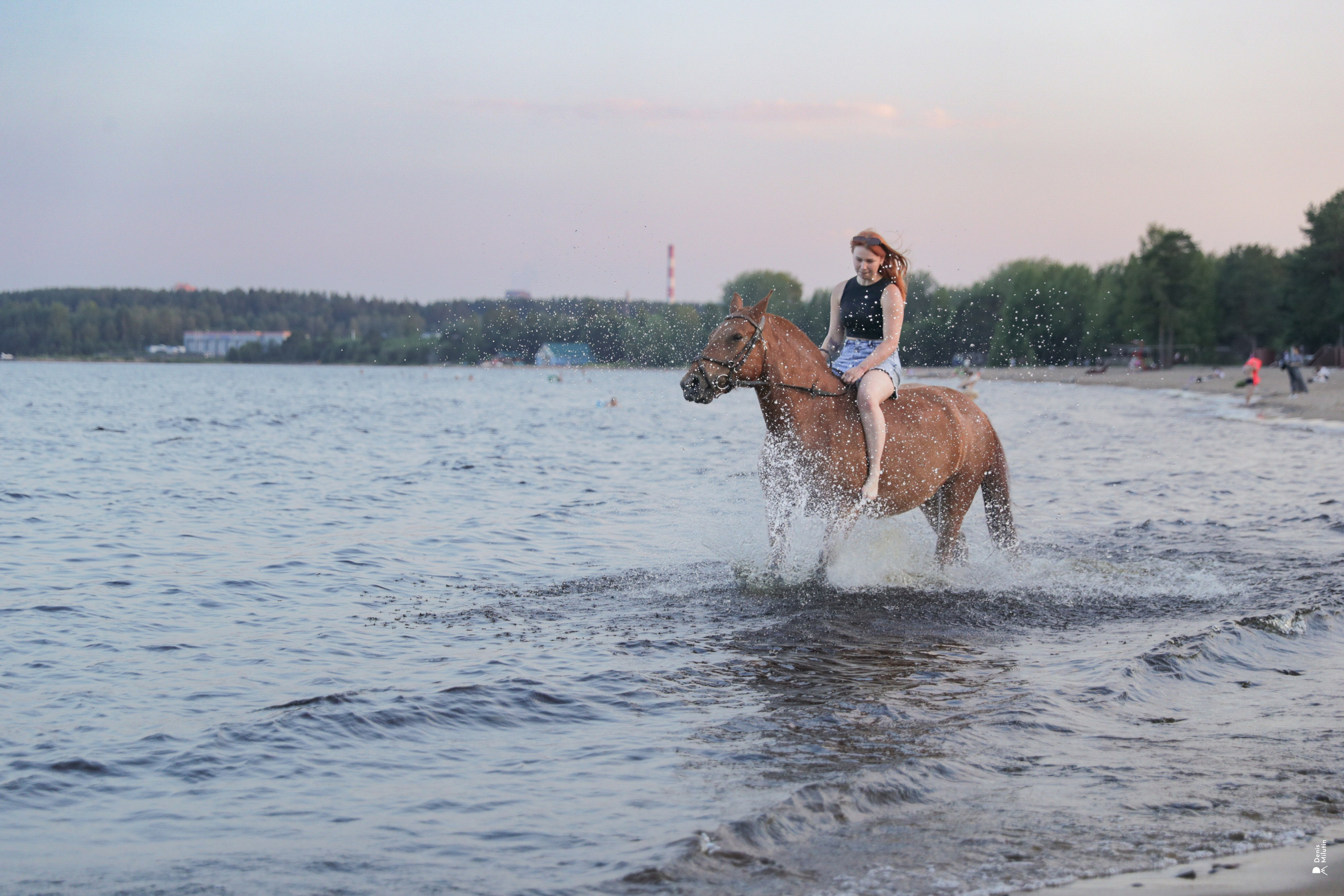Фото с лошадьми. Портретный фотограф Денис Милютин