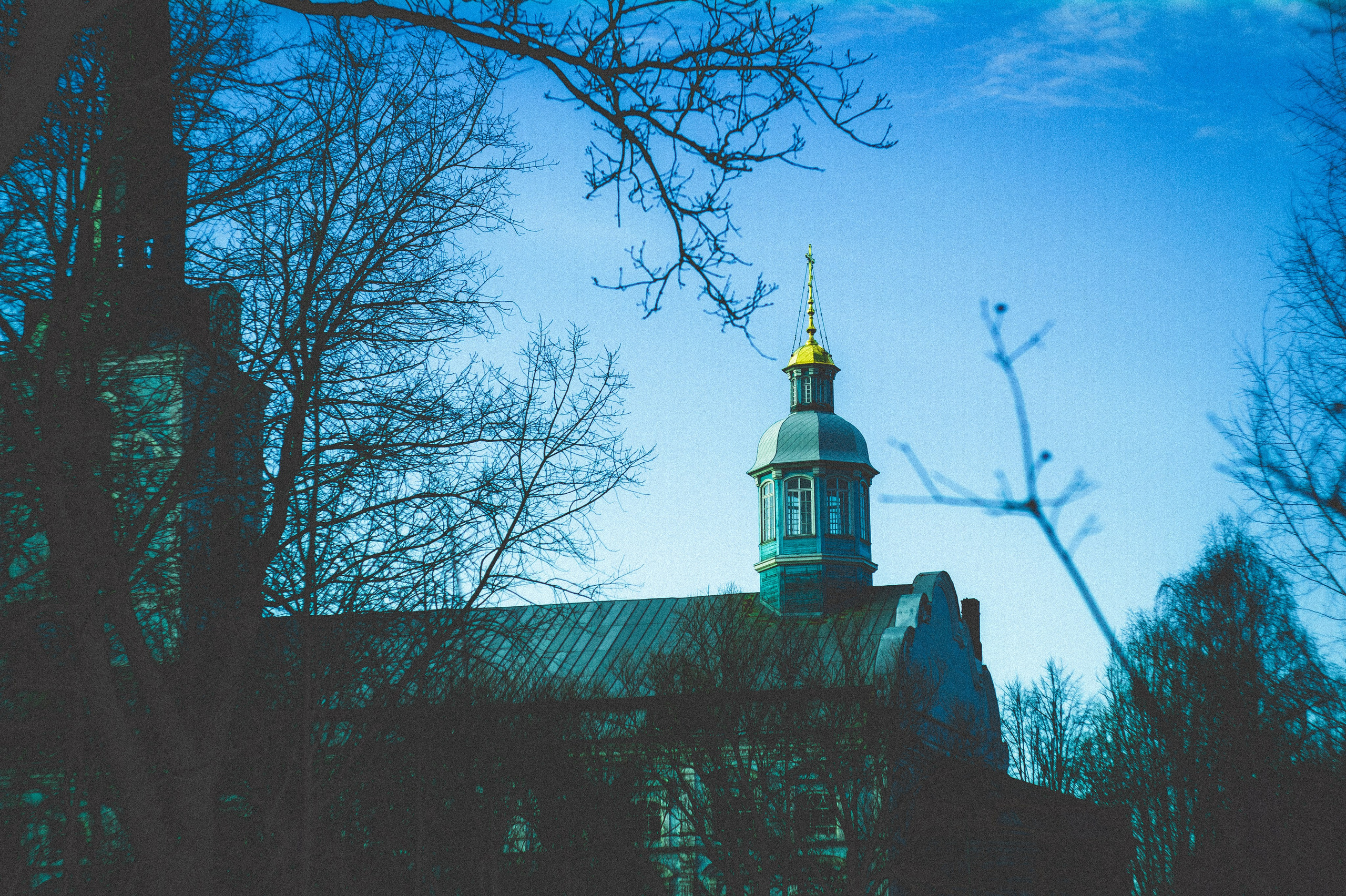 Kingdom. Den Mirov — Photographer, Musician