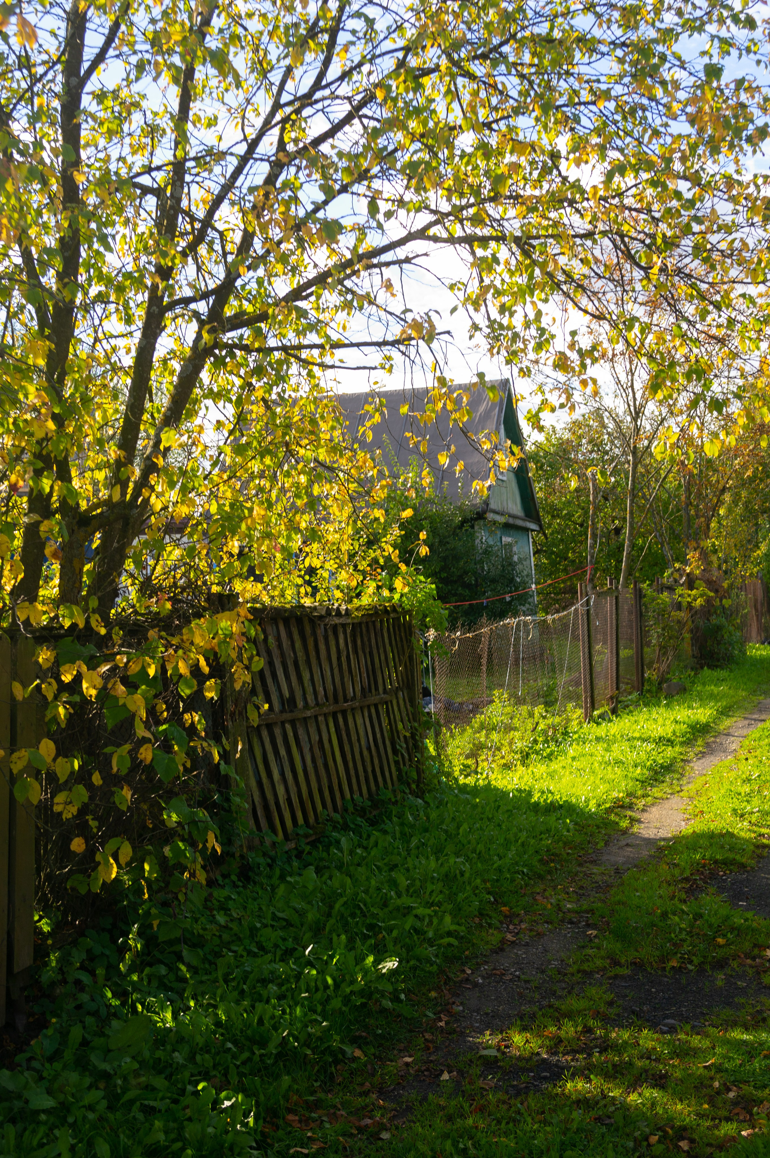 Сентябрь 2025. Den Mirov — Фотограф, Музыкант