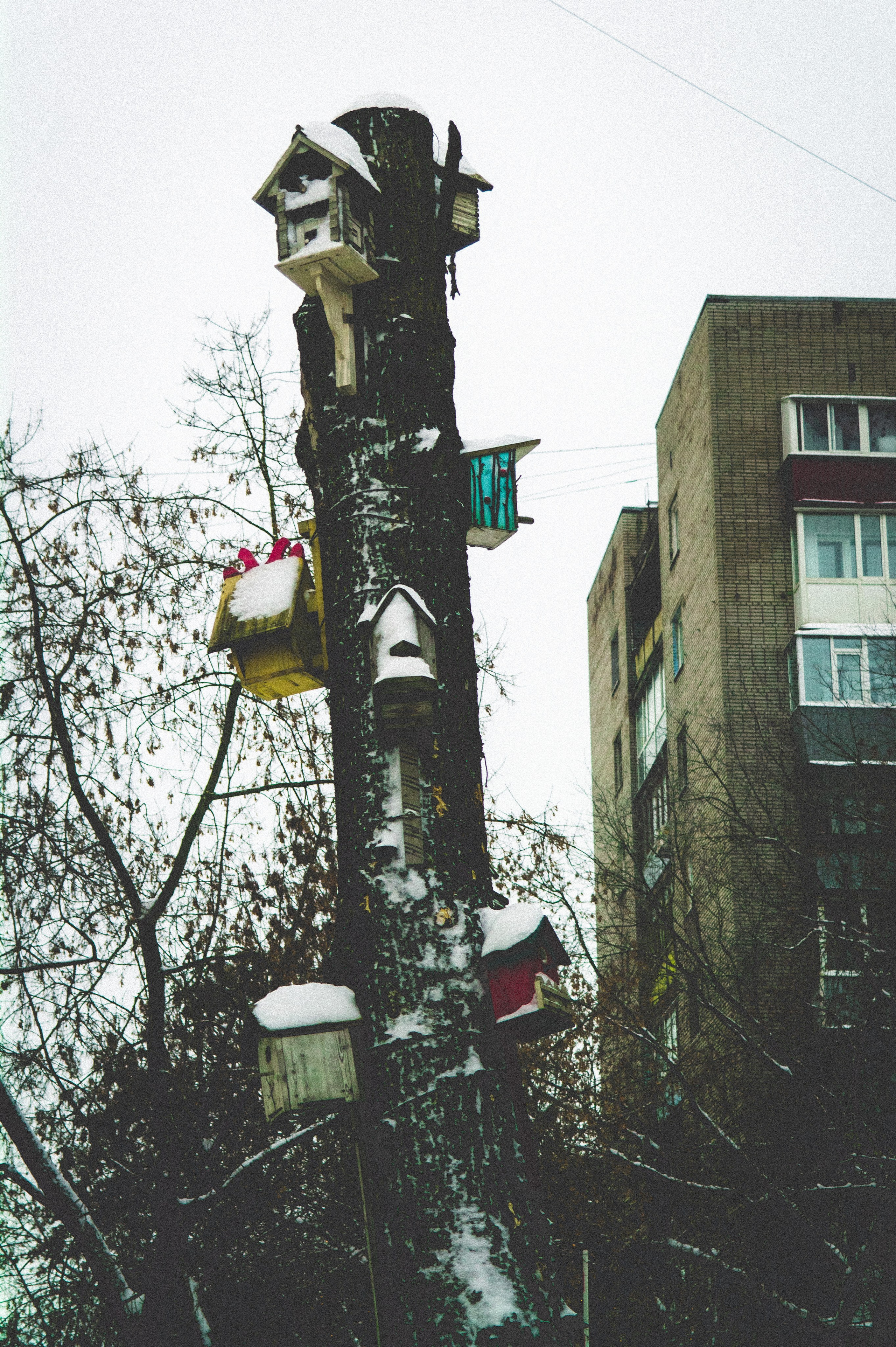 Time of Day. Den Mirov — Photographer, Musician
