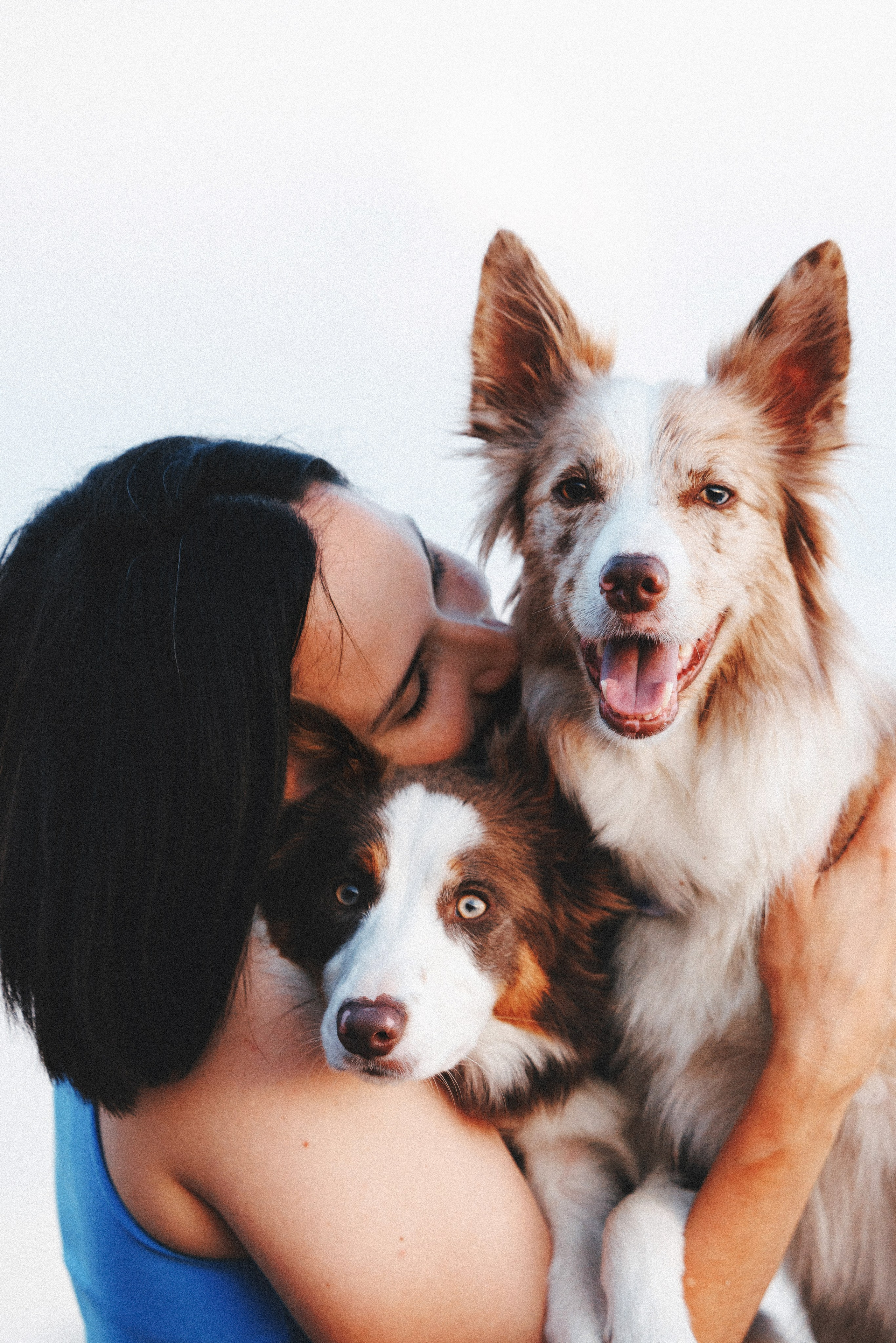 Рита, Маша и много собак. Фотограф анималист Осипчикова Мария