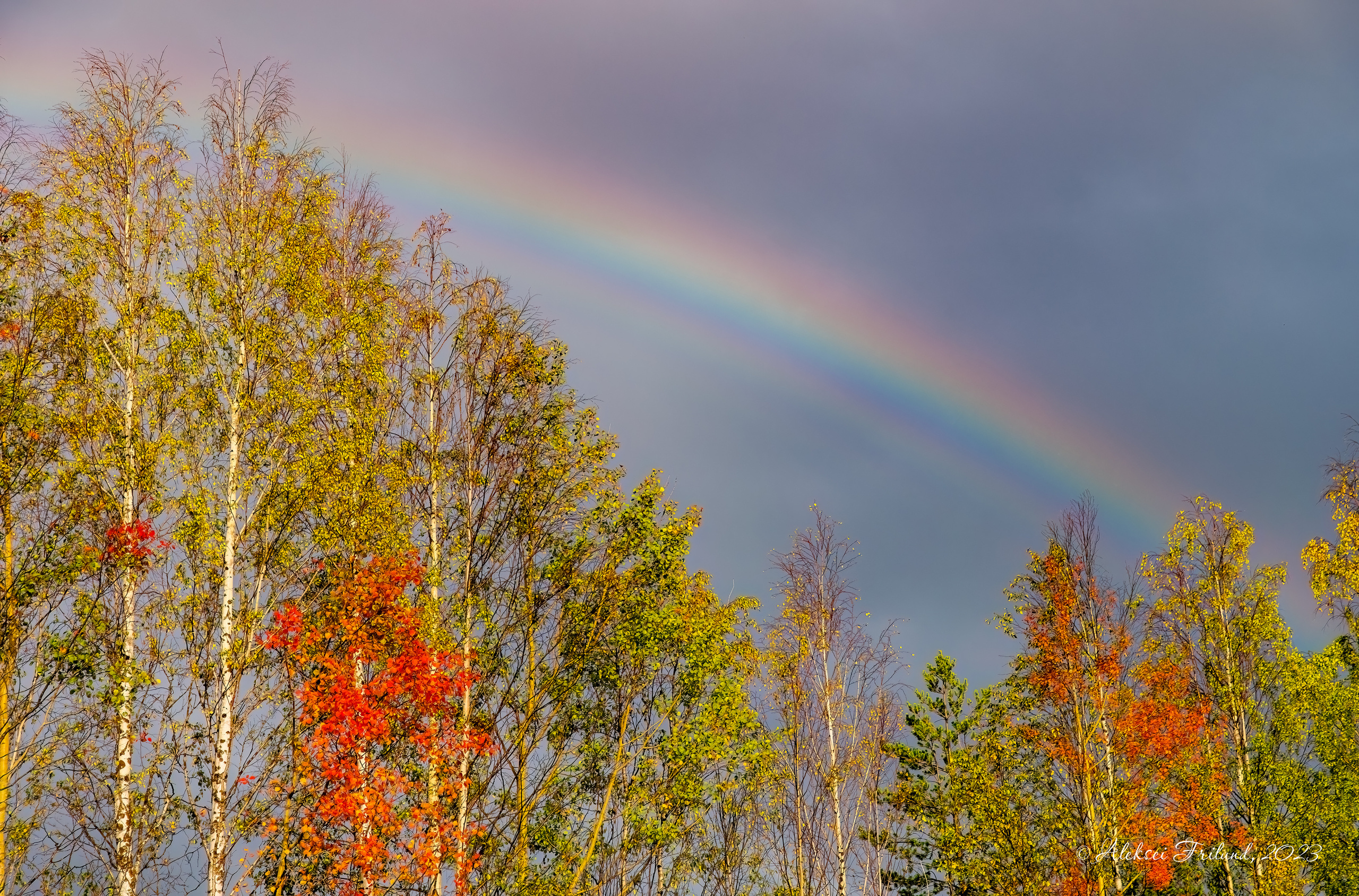 Природа Карелии. Аэросъемка. Фото и Видео в Карелии. Алексей Фрилунд