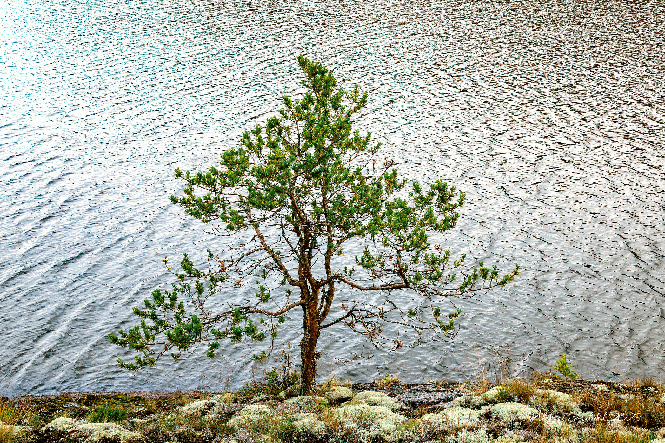 Ладожское озеро. Аэросъемка. Фото и Видео в Карелии. Алексей Фрилунд