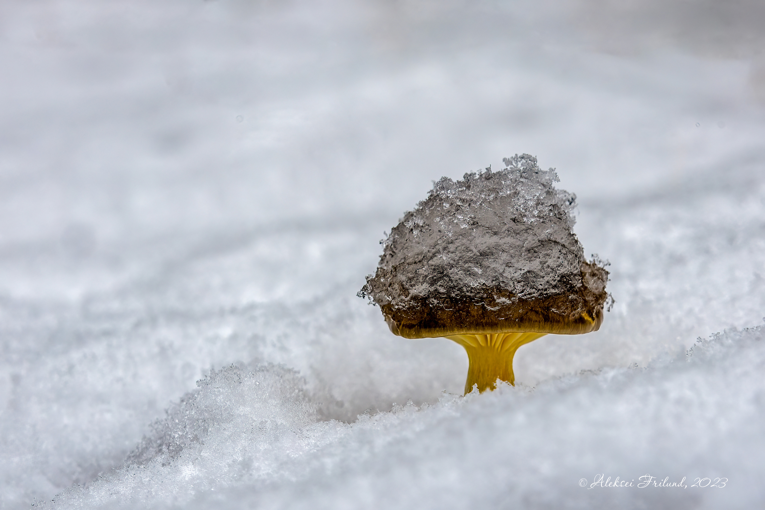 Природа Карелии. Аэросъемка. Фото и Видео в Карелии. Алексей Фрилунд