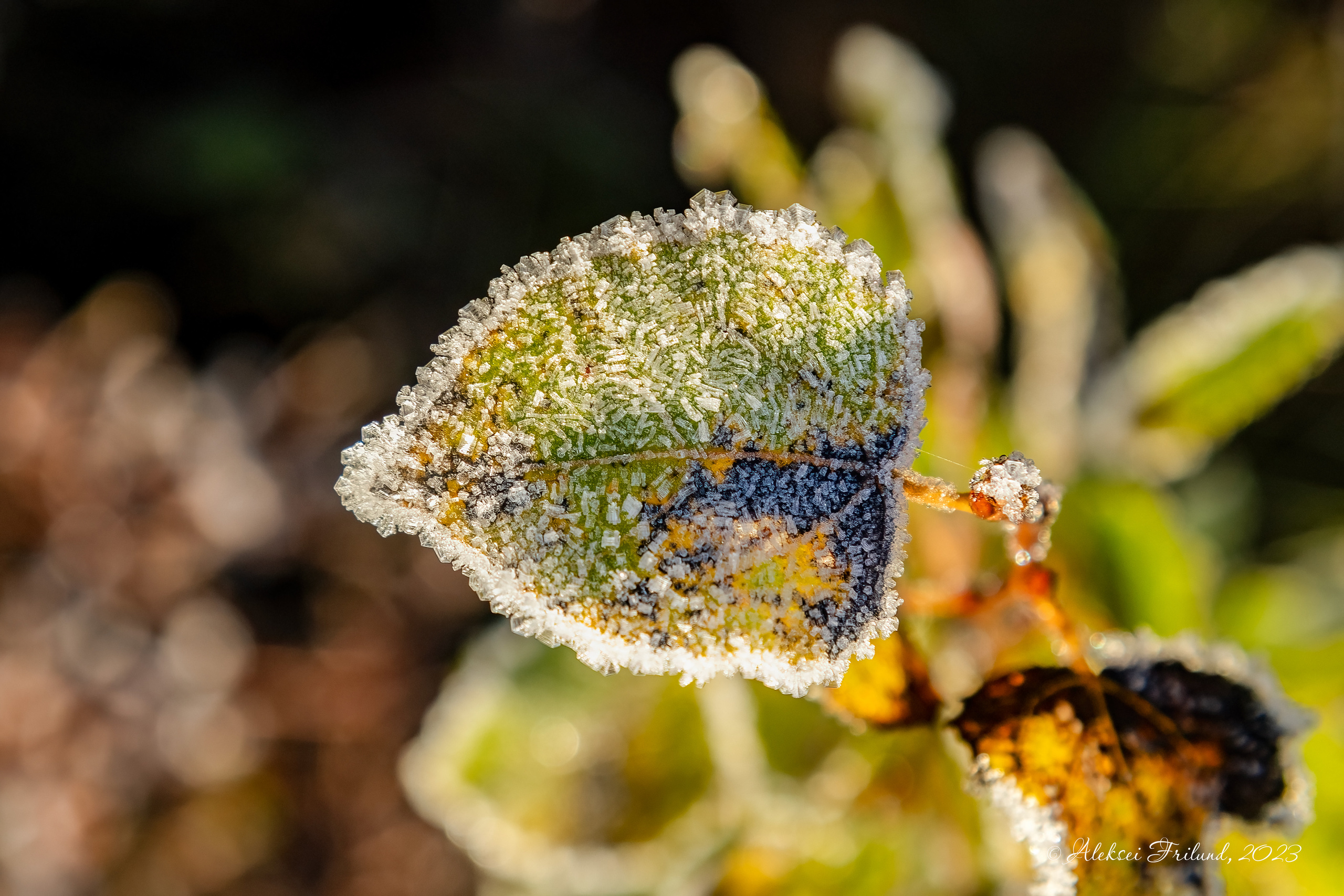 Природа Карелии. Аэросъемка. Фото и Видео в Карелии. Алексей Фрилунд