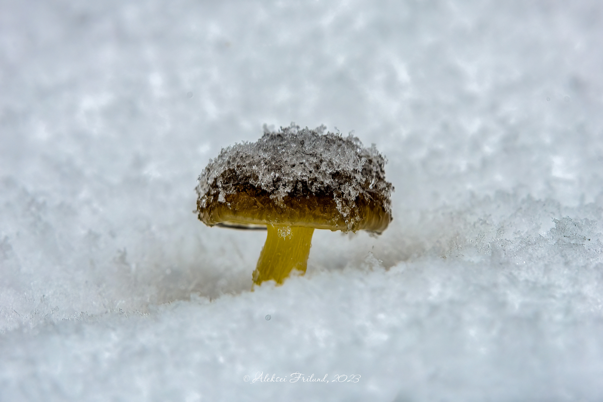 Природа Карелии. Аэросъемка. Фото и Видео в Карелии. Алексей Фрилунд
