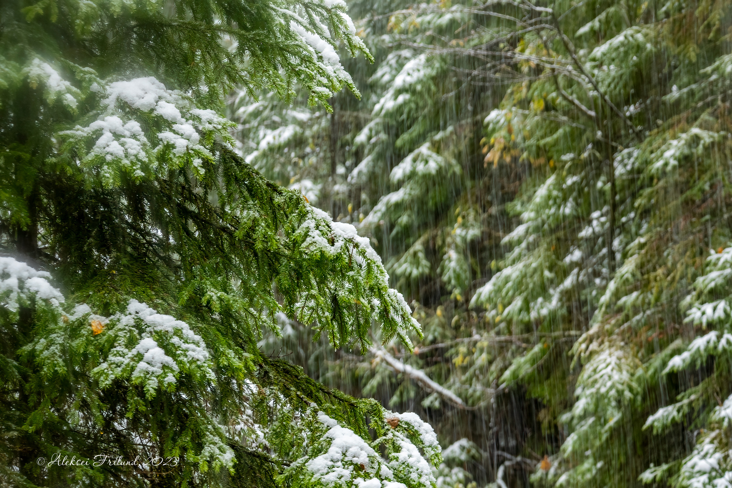 Природа Карелии. Аэросъемка. Фото и Видео в Карелии. Алексей Фрилунд