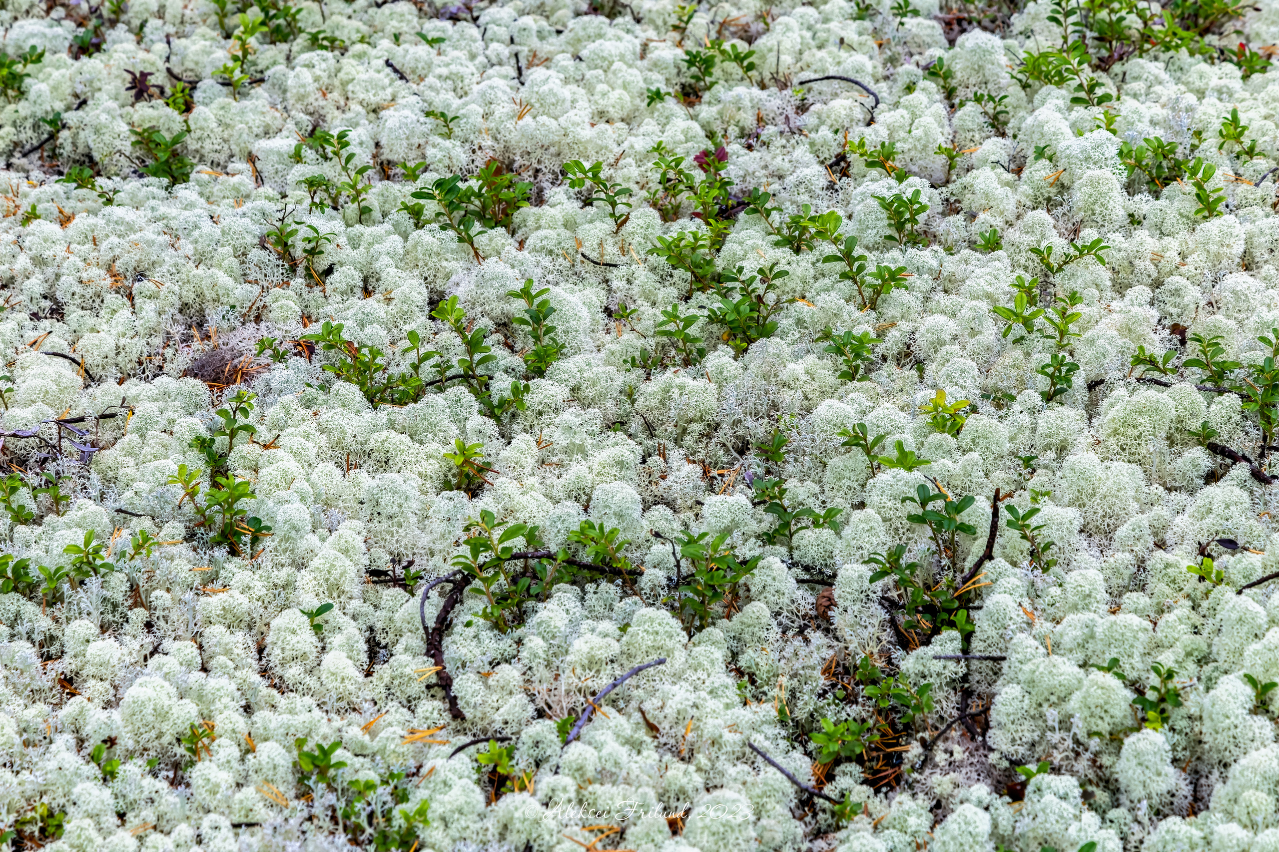 Кольский полуостров. Аэросъемка. Фото и Видео в Карелии. Алексей Фрилунд