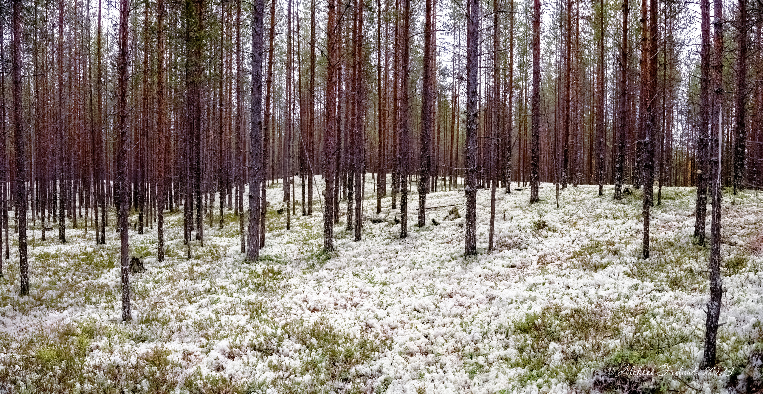 Кольский полуостров. Аэросъемка. Фото и Видео в Карелии. Алексей Фрилунд