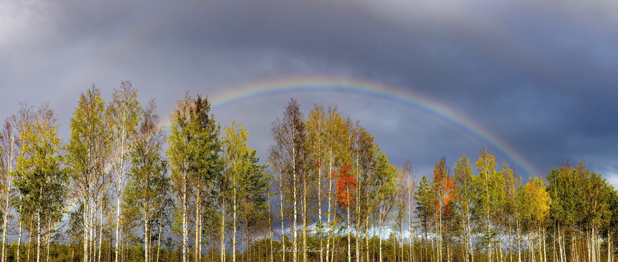 Природа Карелии. Аэросъемка. Фото и Видео в Карелии. Алексей Фрилунд