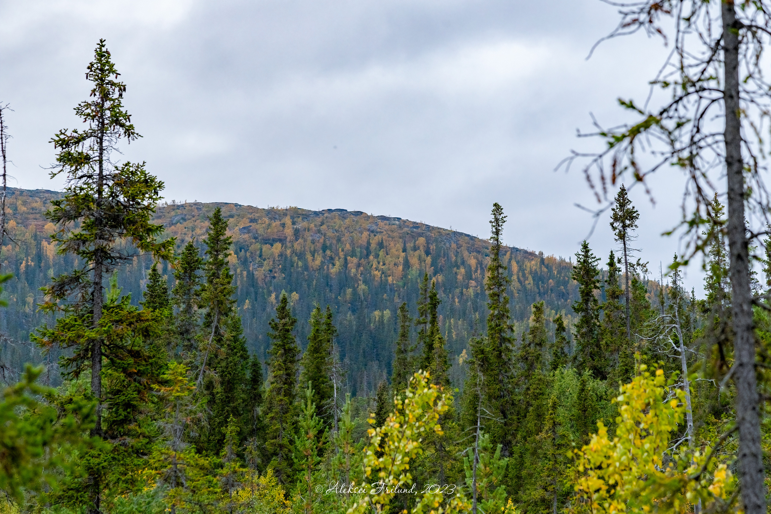 Кольский полуостров. Аэросъемка. Фото и Видео в Карелии. Алексей Фрилунд
