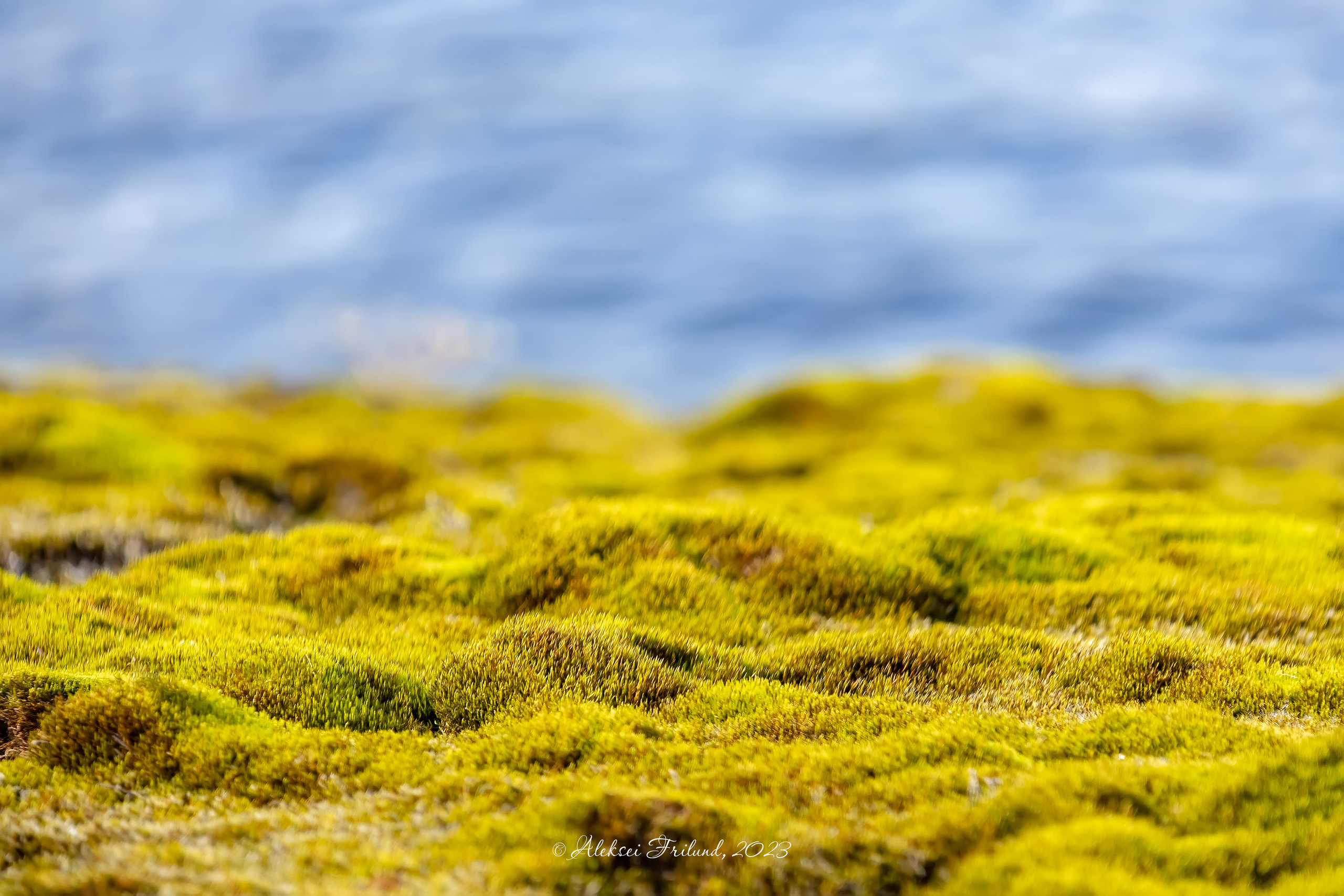 Ладожское озеро. Аэросъемка. Фото и Видео в Карелии. Алексей Фрилунд