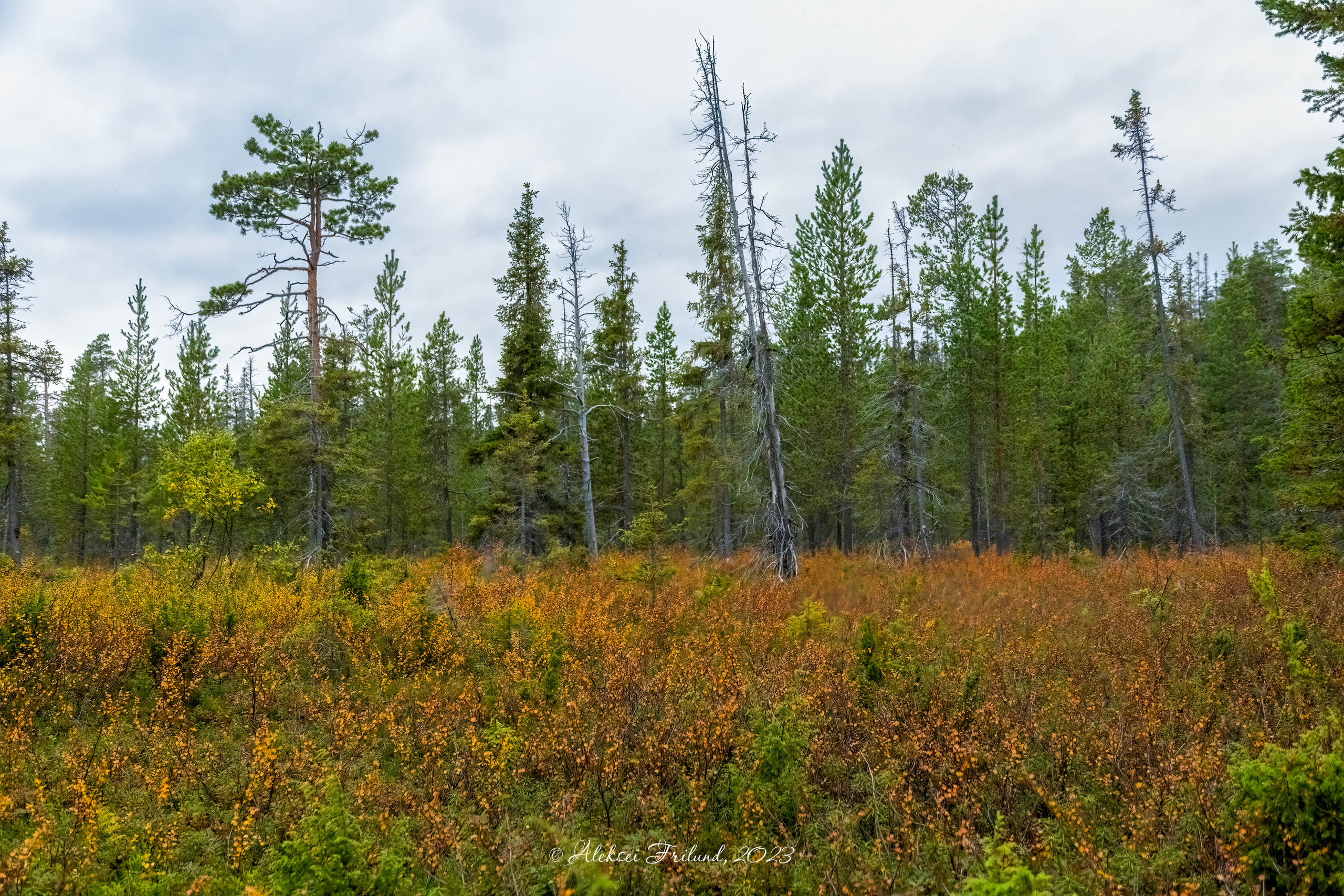 Кольский полуостров. Аэросъемка. Фото и Видео в Карелии. Алексей Фрилунд