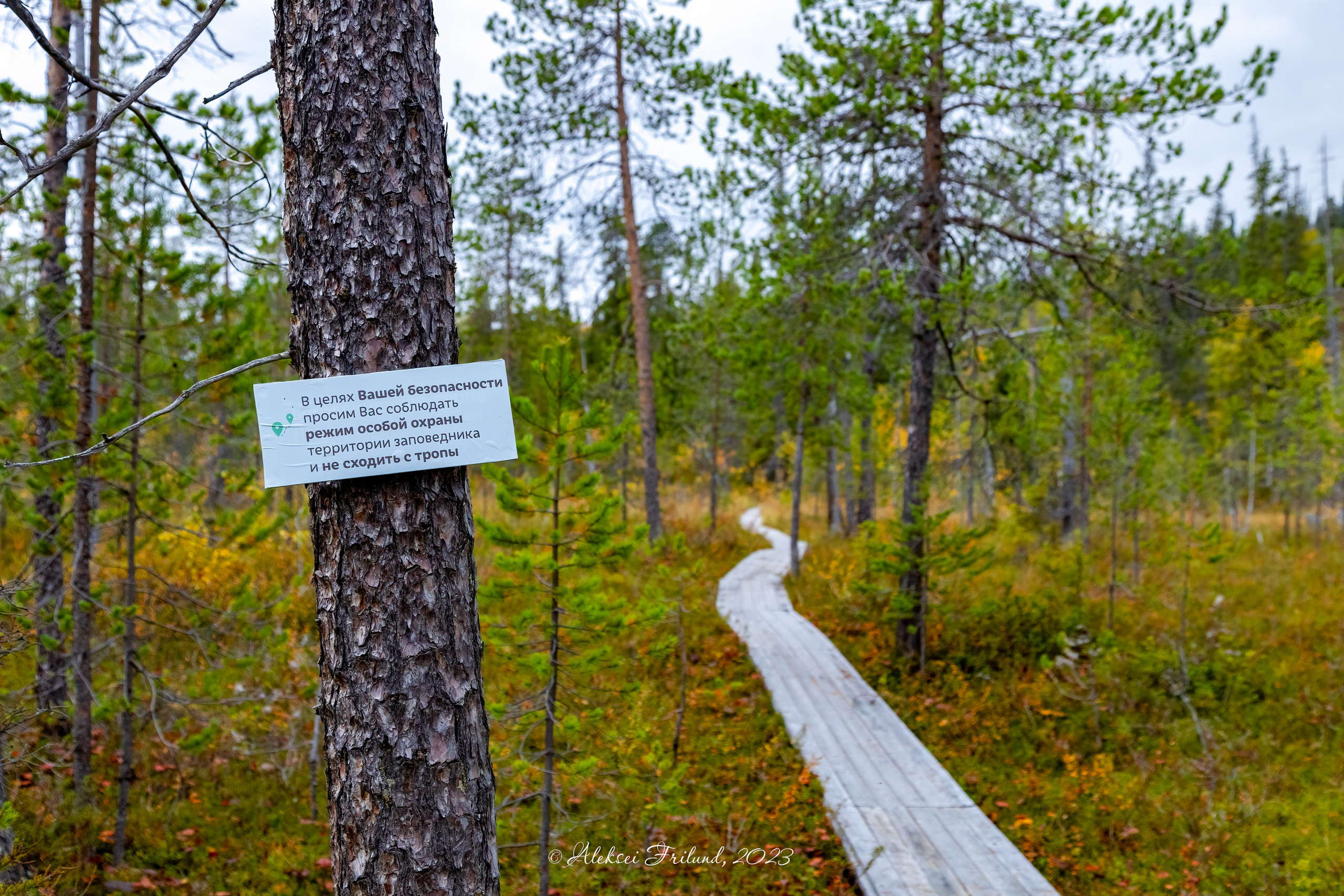Кольский полуостров. Аэросъемка. Фото и Видео в Карелии. Алексей Фрилунд