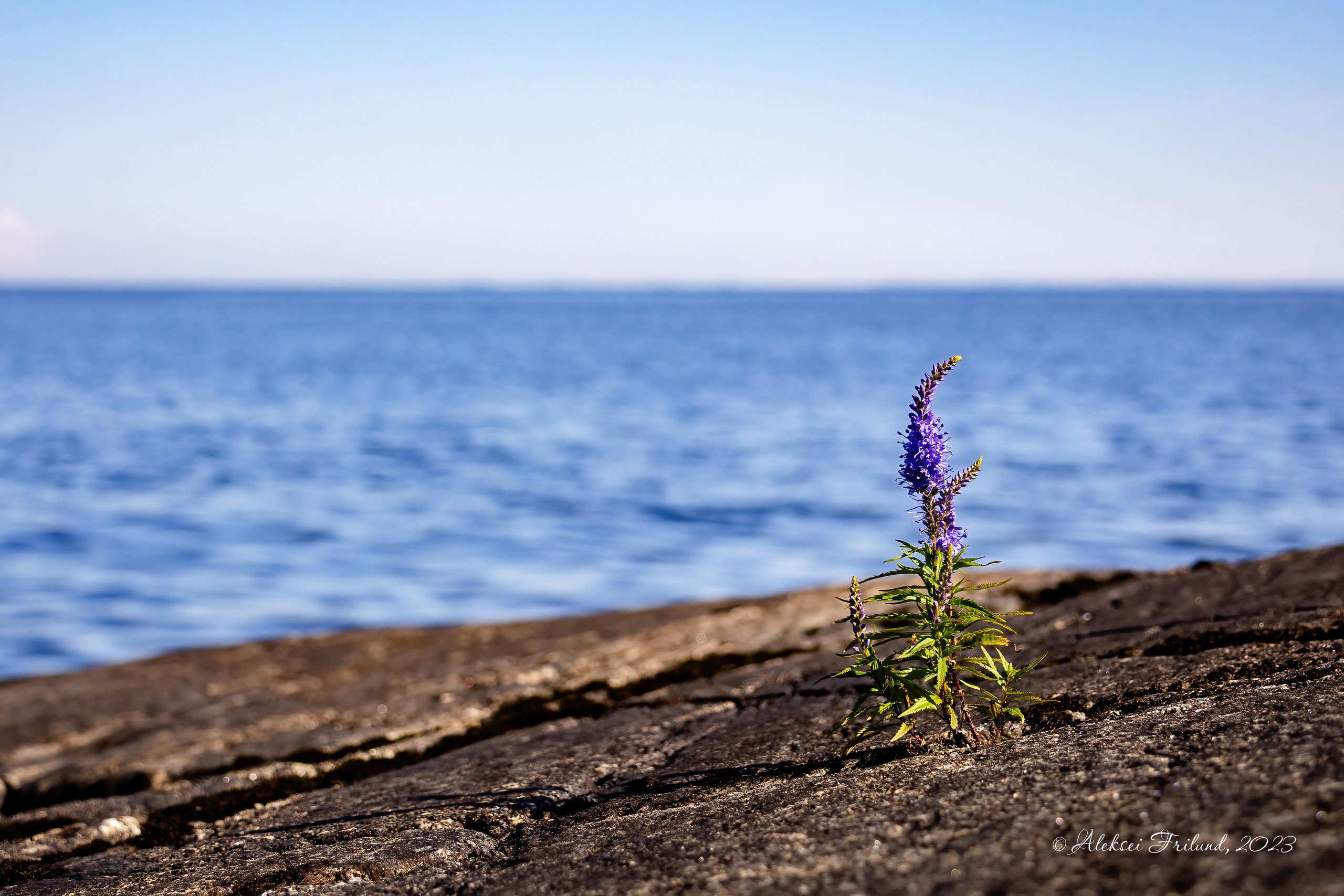 Природа Карелии. Аэросъемка. Фото и Видео в Карелии. Алексей Фрилунд