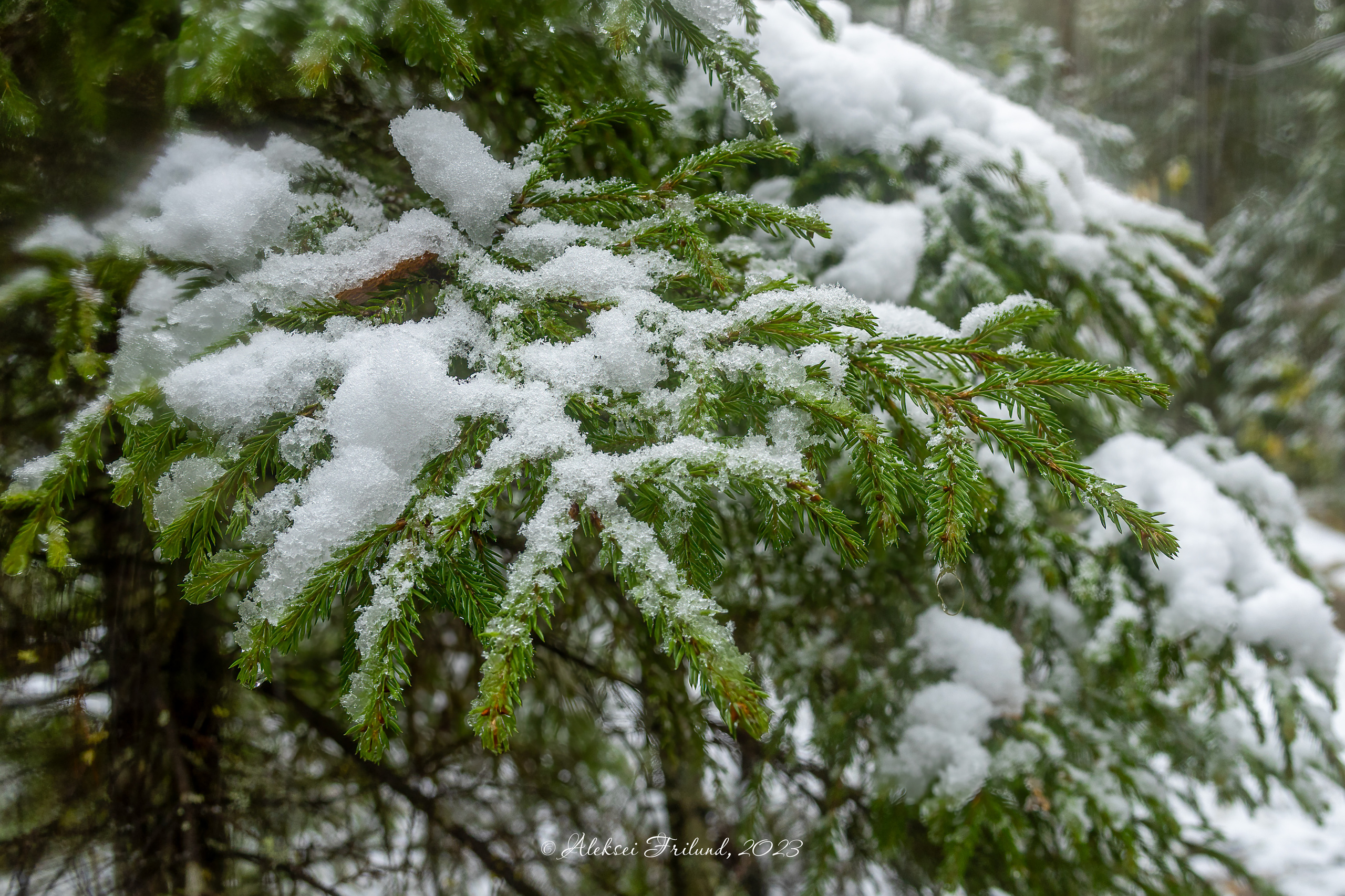 Природа Карелии. Аэросъемка. Фото и Видео в Карелии. Алексей Фрилунд