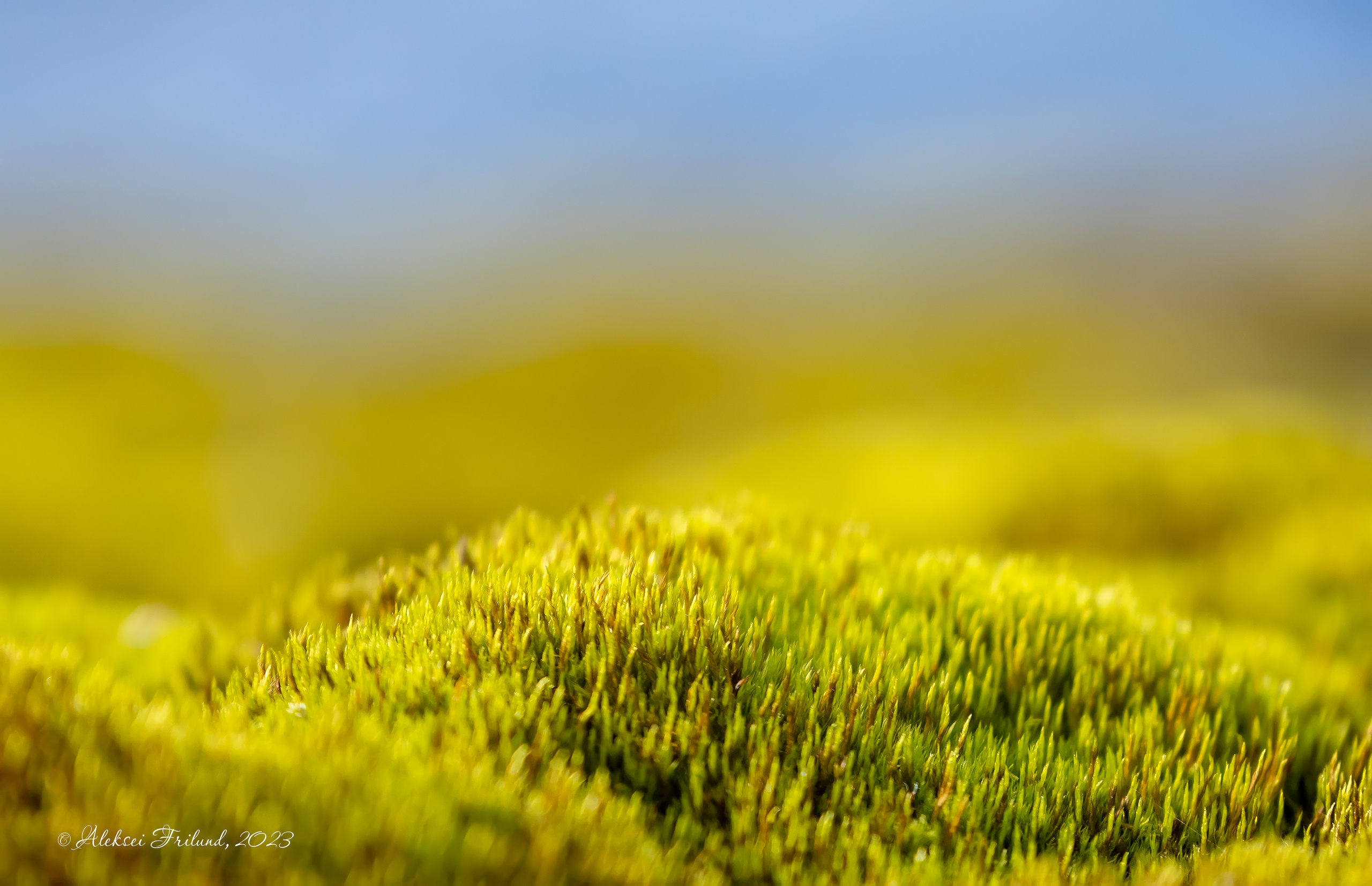 Ладожское озеро. Аэросъемка. Фото и Видео в Карелии. Алексей Фрилунд
