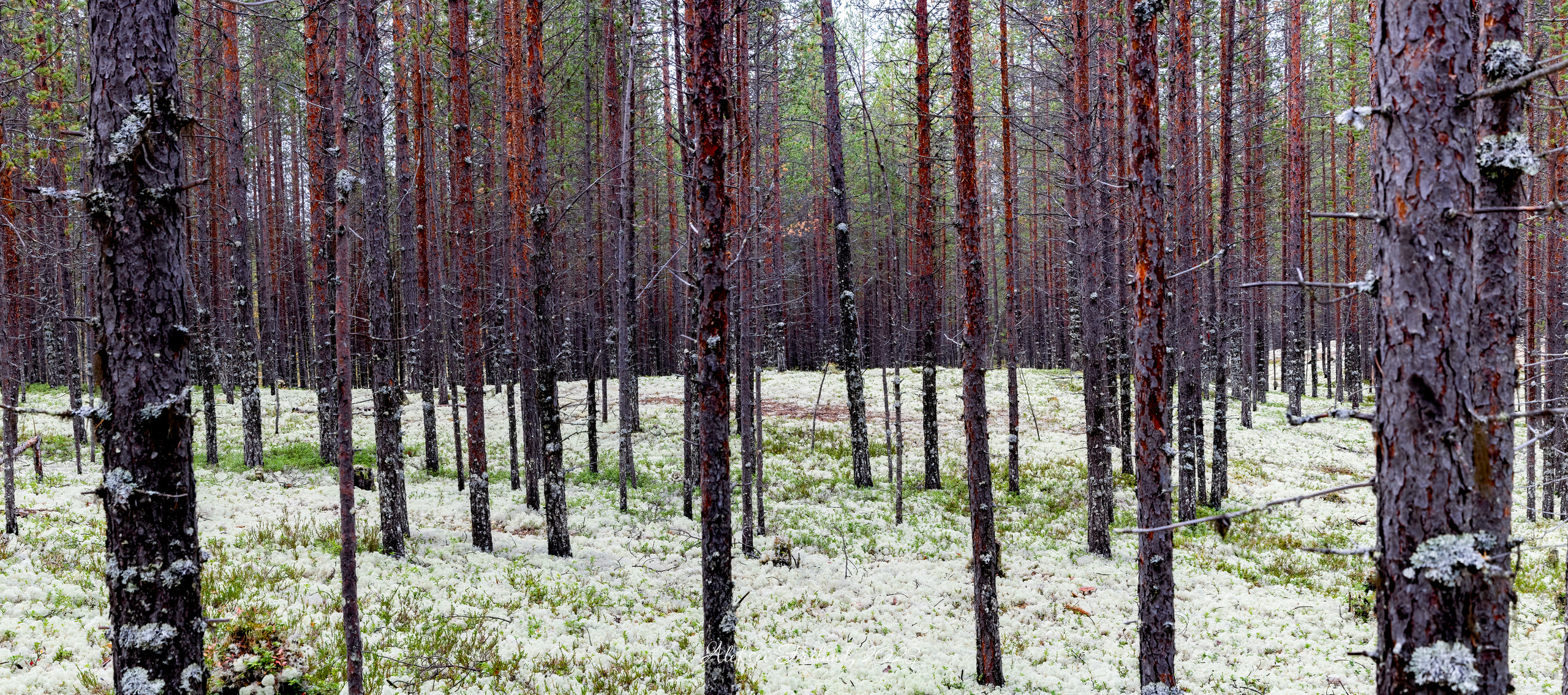 Кольский полуостров. Аэросъемка. Фото и Видео в Карелии. Алексей Фрилунд