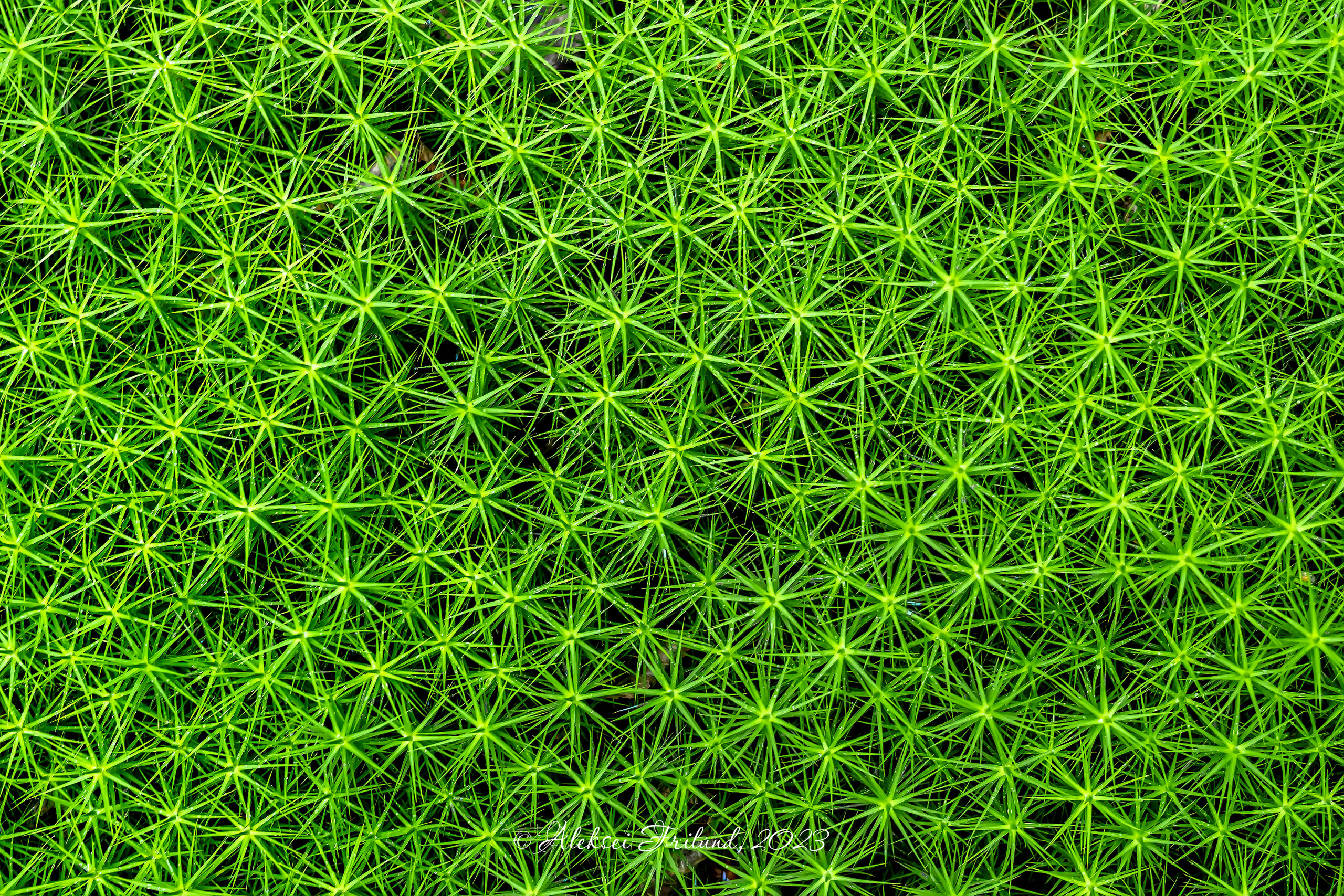 Природа Карелии. Аэросъемка. Фото и Видео в Карелии. Алексей Фрилунд