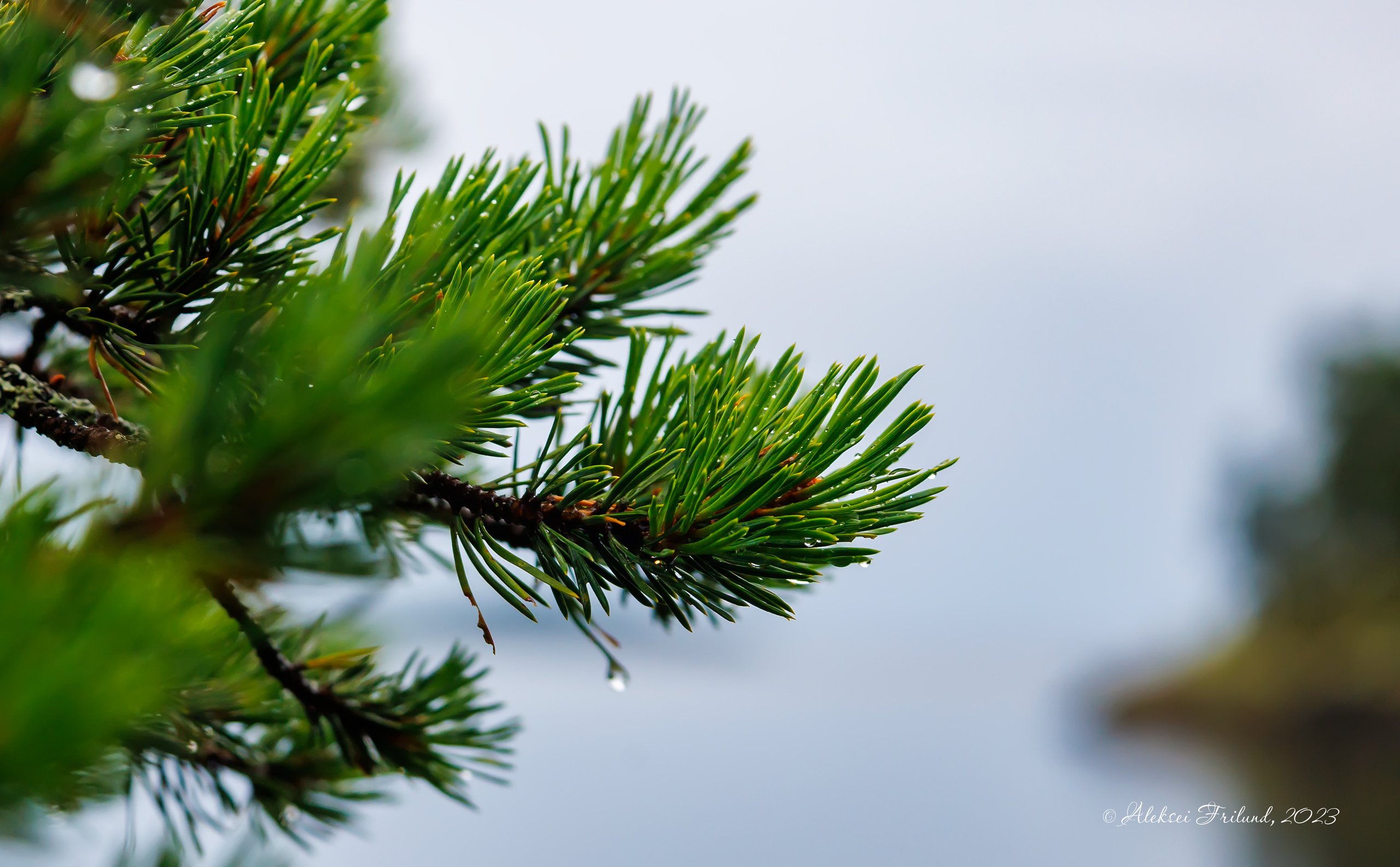 Природа Карелии. Аэросъемка. Фото и Видео в Карелии. Алексей Фрилунд