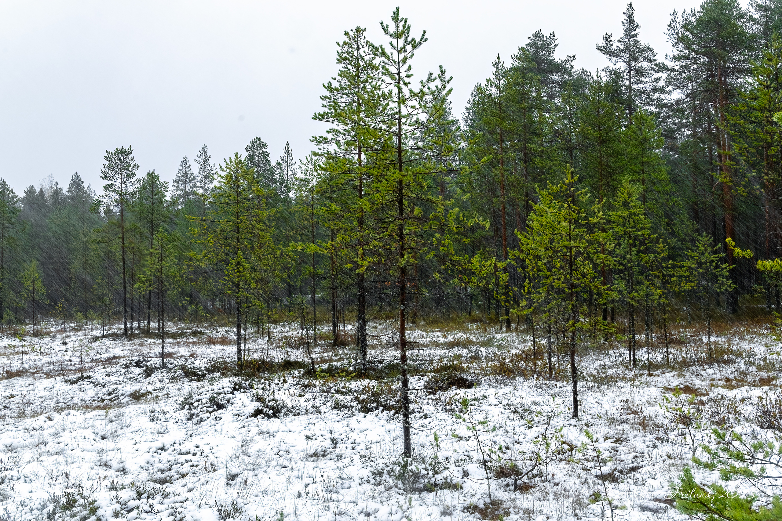 Природа Карелии. Аэросъемка. Фото и Видео в Карелии. Алексей Фрилунд