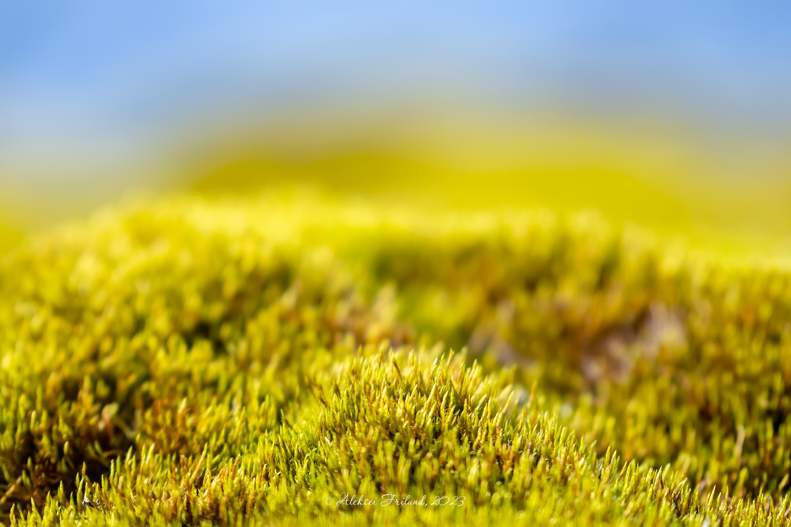 Ладожское озеро. Аэросъемка. Фото и Видео в Карелии. Алексей Фрилунд