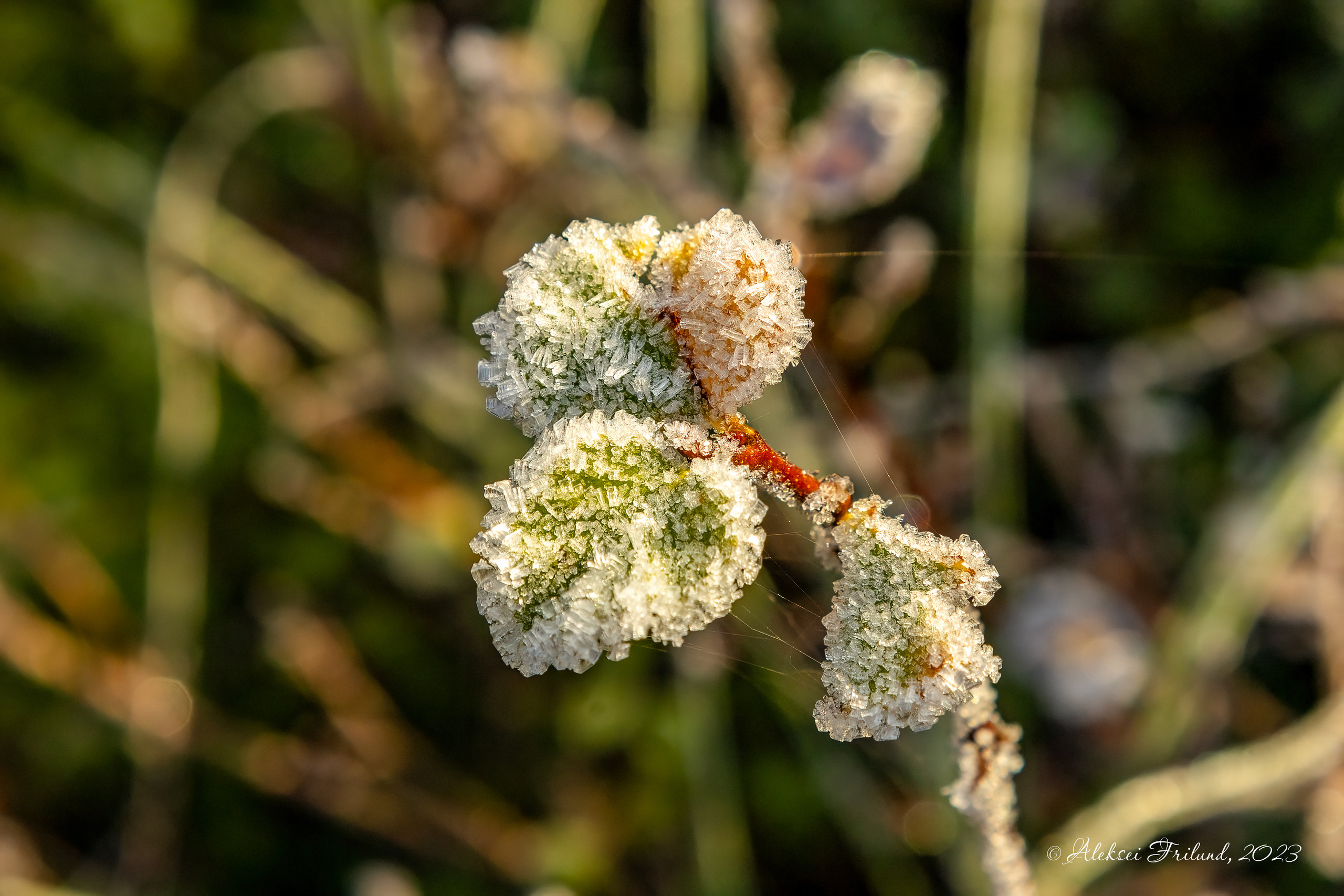 Природа Карелии. Аэросъемка. Фото и Видео в Карелии. Алексей Фрилунд
