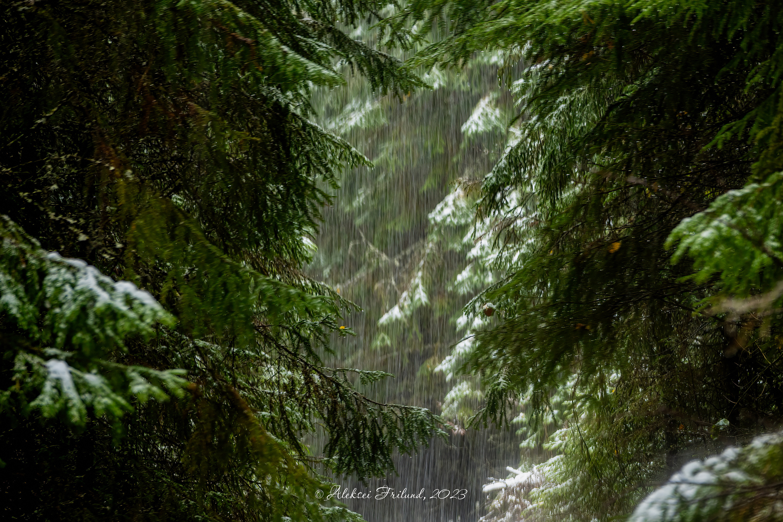 Природа Карелии. Аэросъемка. Фото и Видео в Карелии. Алексей Фрилунд